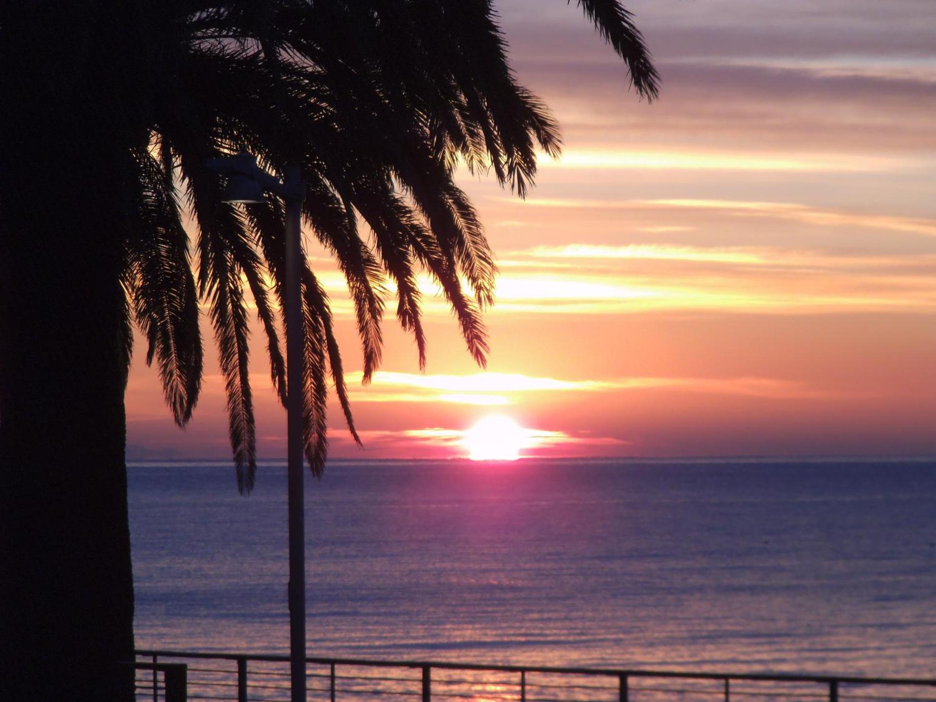 Hotel Ariston & Apartments - Photo 175