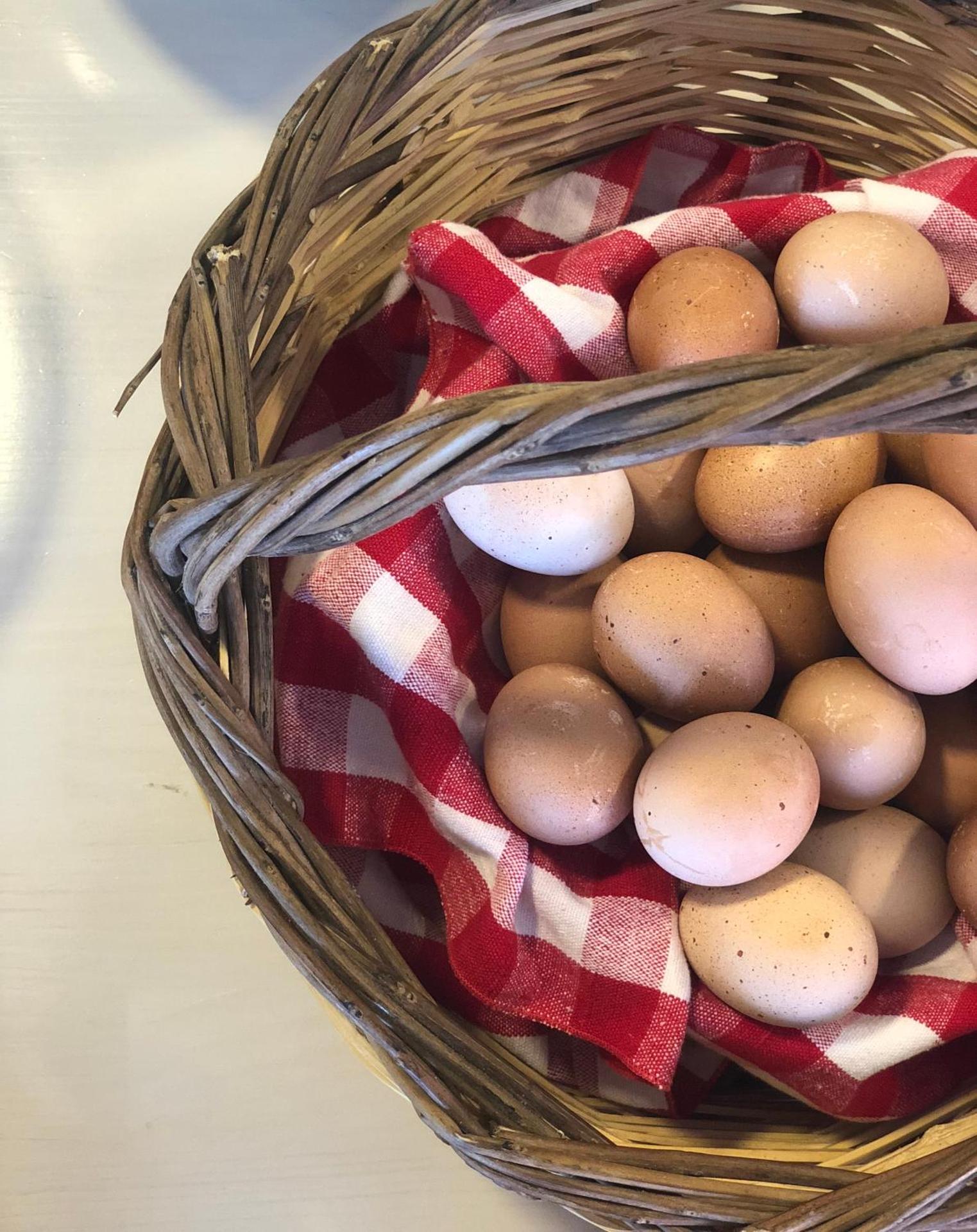 Fedriades Delphi Hotel - Photo 105