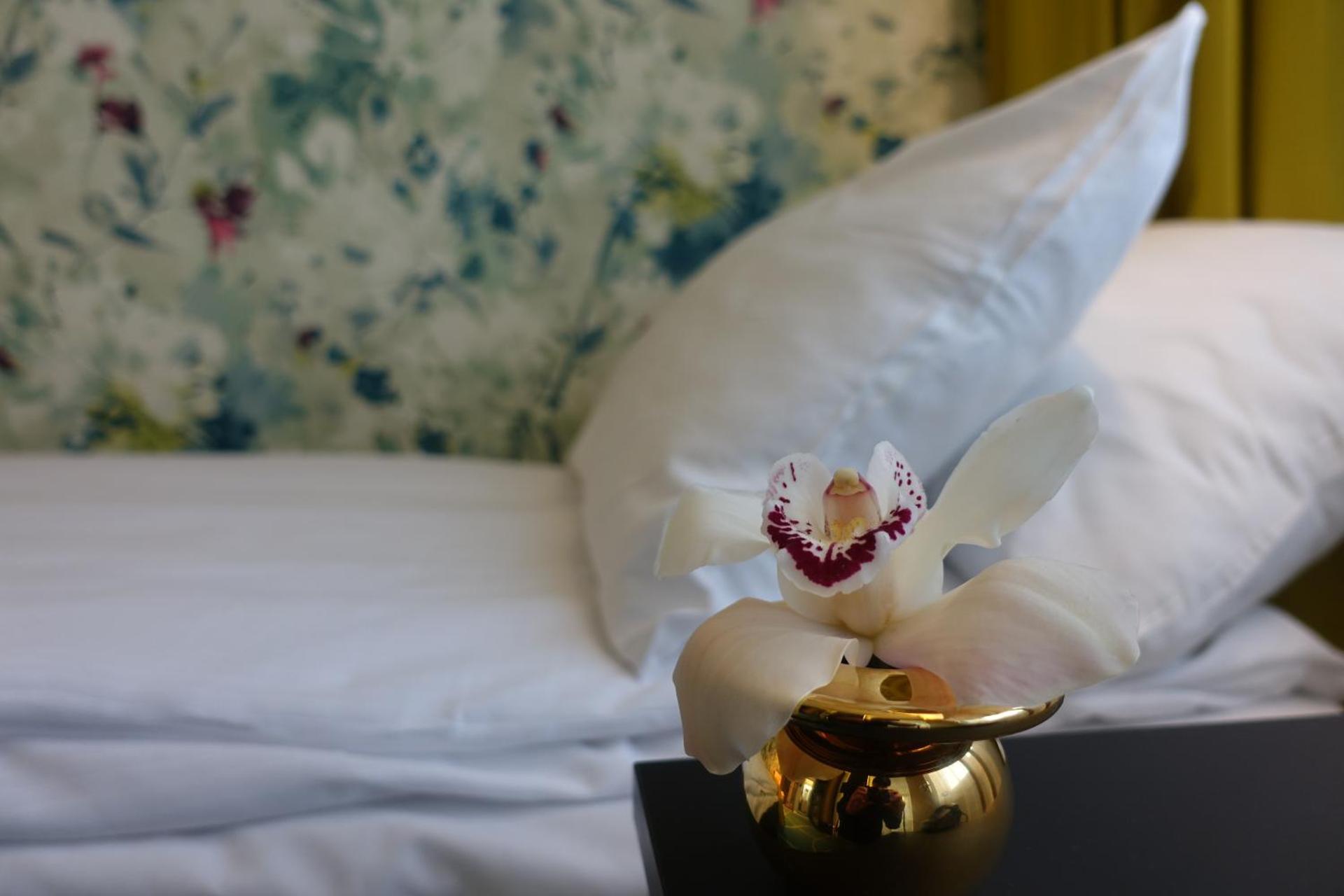 Thon Hotel Lofoten - Photo 45