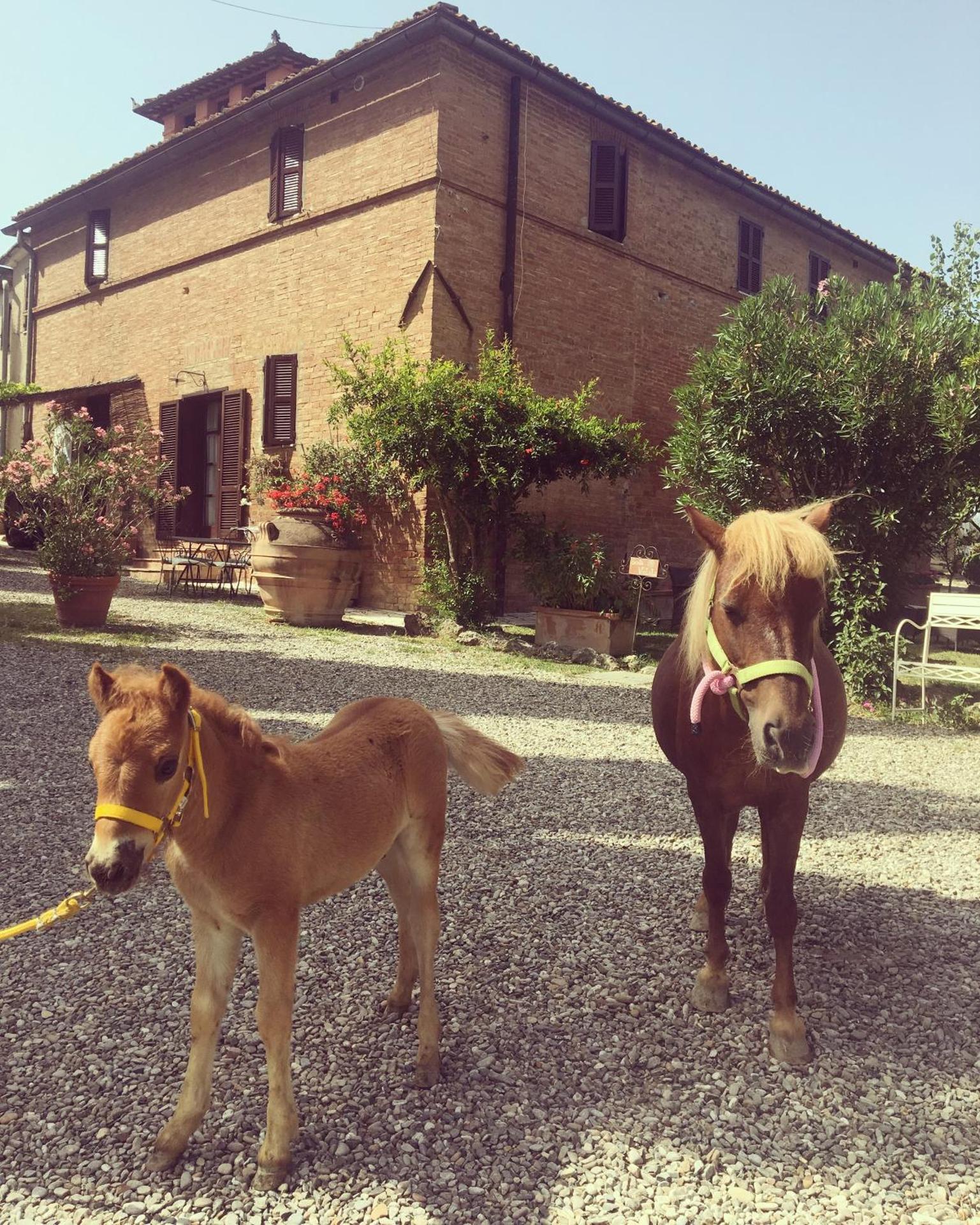 Agriturismo Pieve Sprenna - Photo 205
