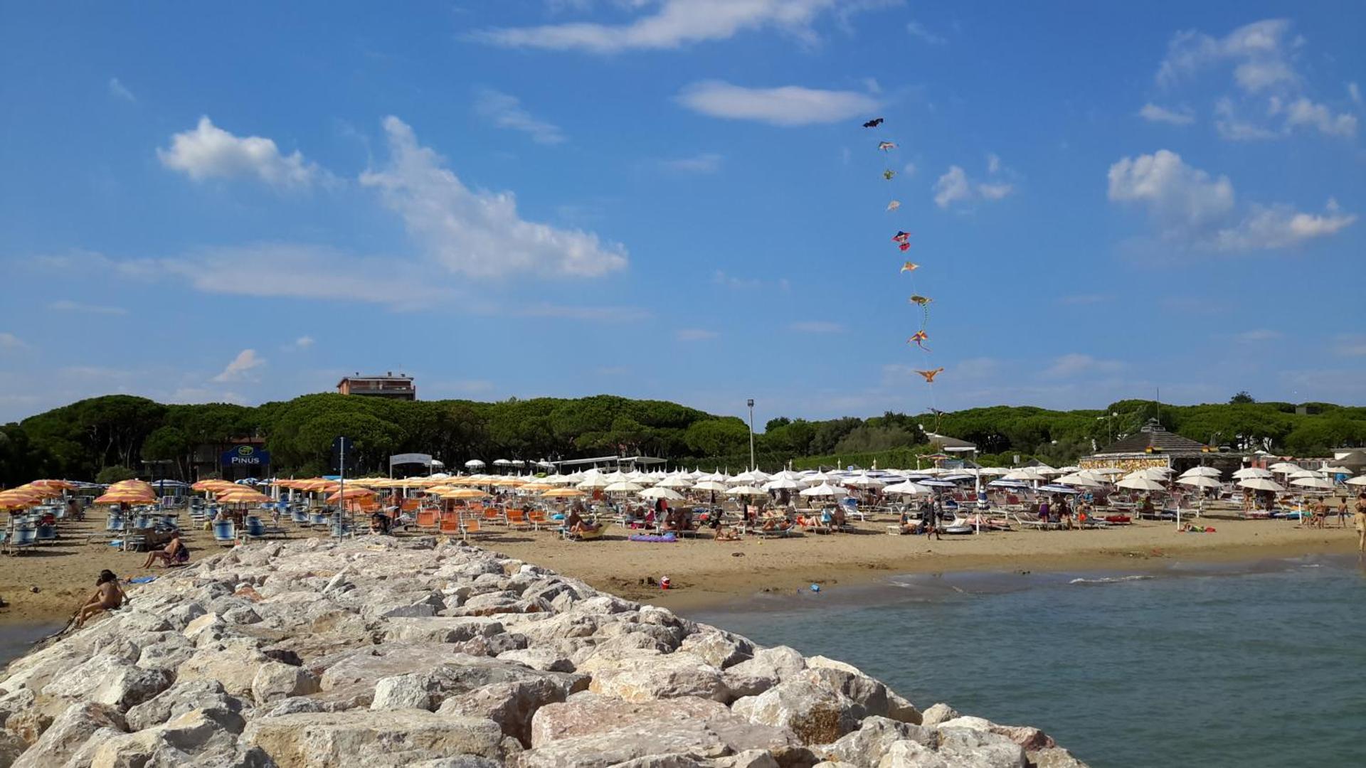 Park Hotel Maracaibo - Photo 164