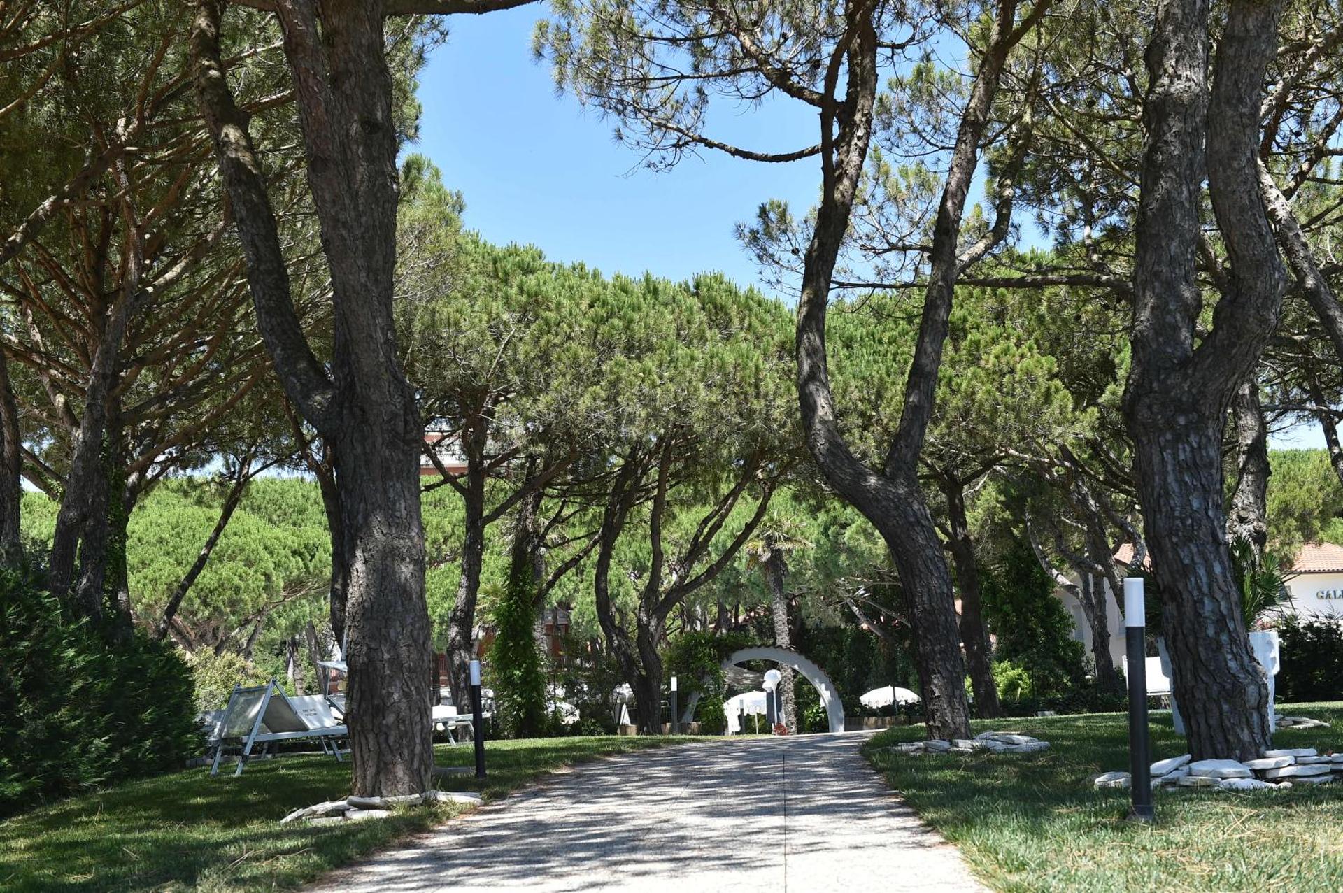 Park Hotel Maracaibo - Photo 149