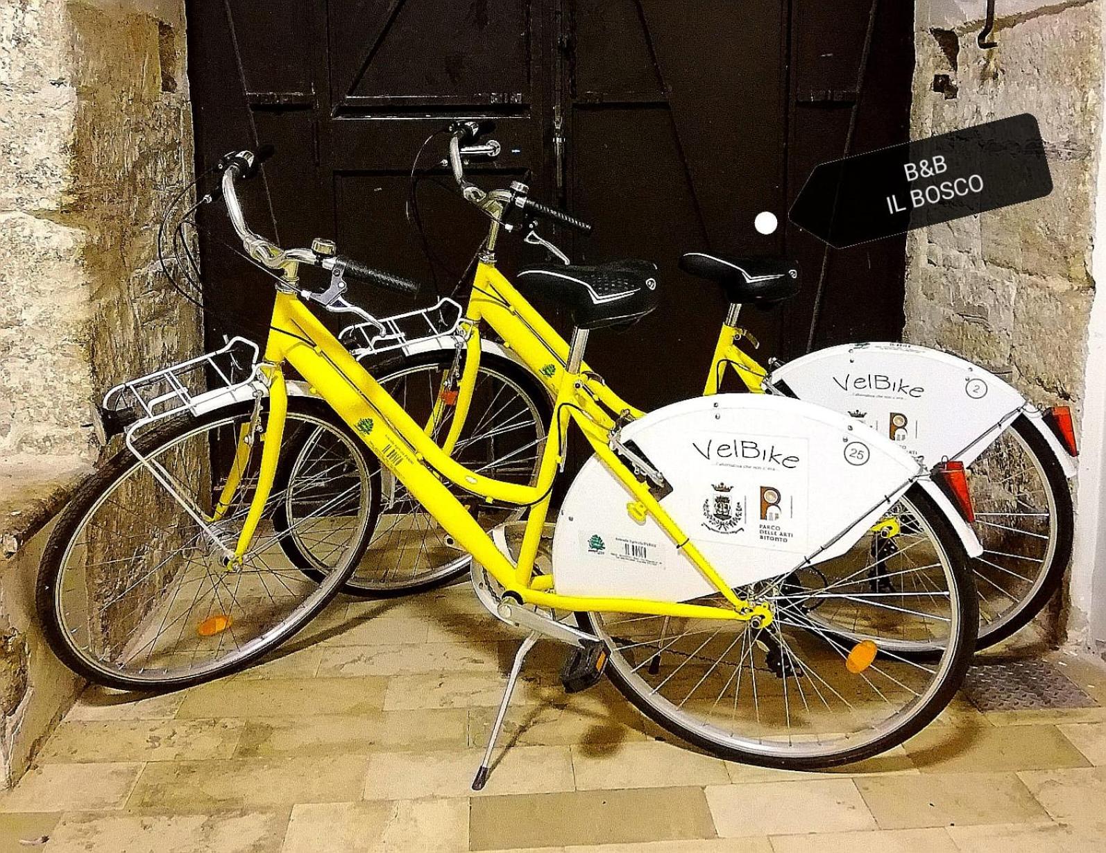 Tenuta il Bosco - Photo 71