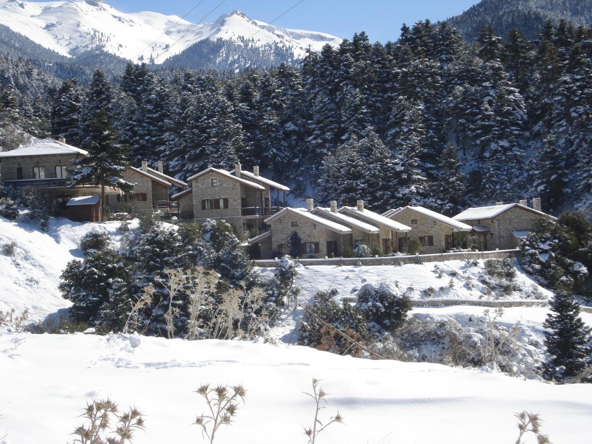 Georgio's V Chalet Kalavrita - Photo 166