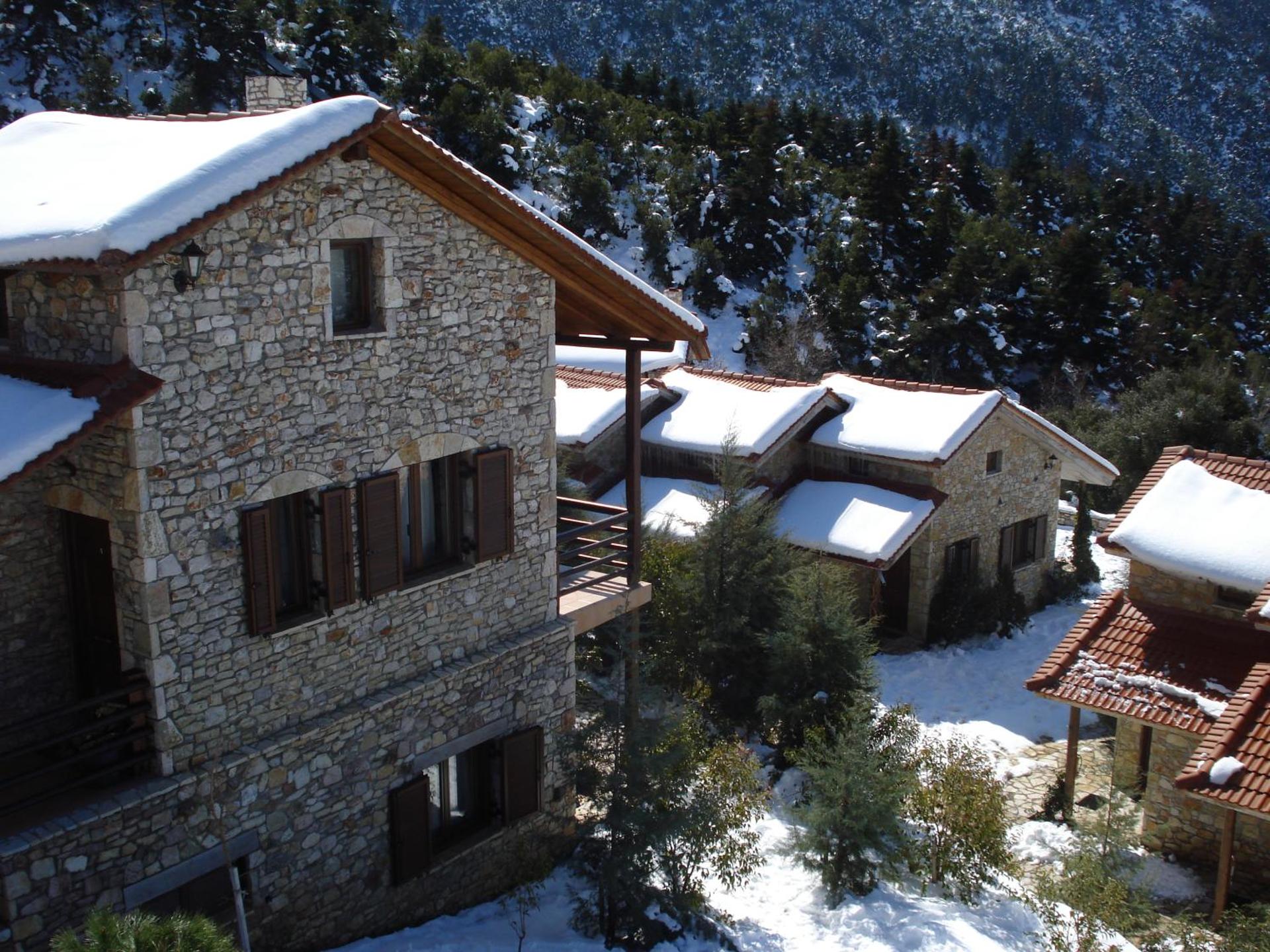 Georgio's V Chalet Kalavrita - Photo 100