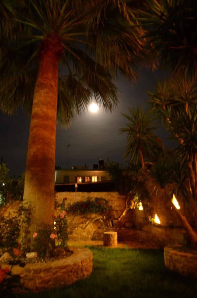 Pension Aretoussa - Photo 47