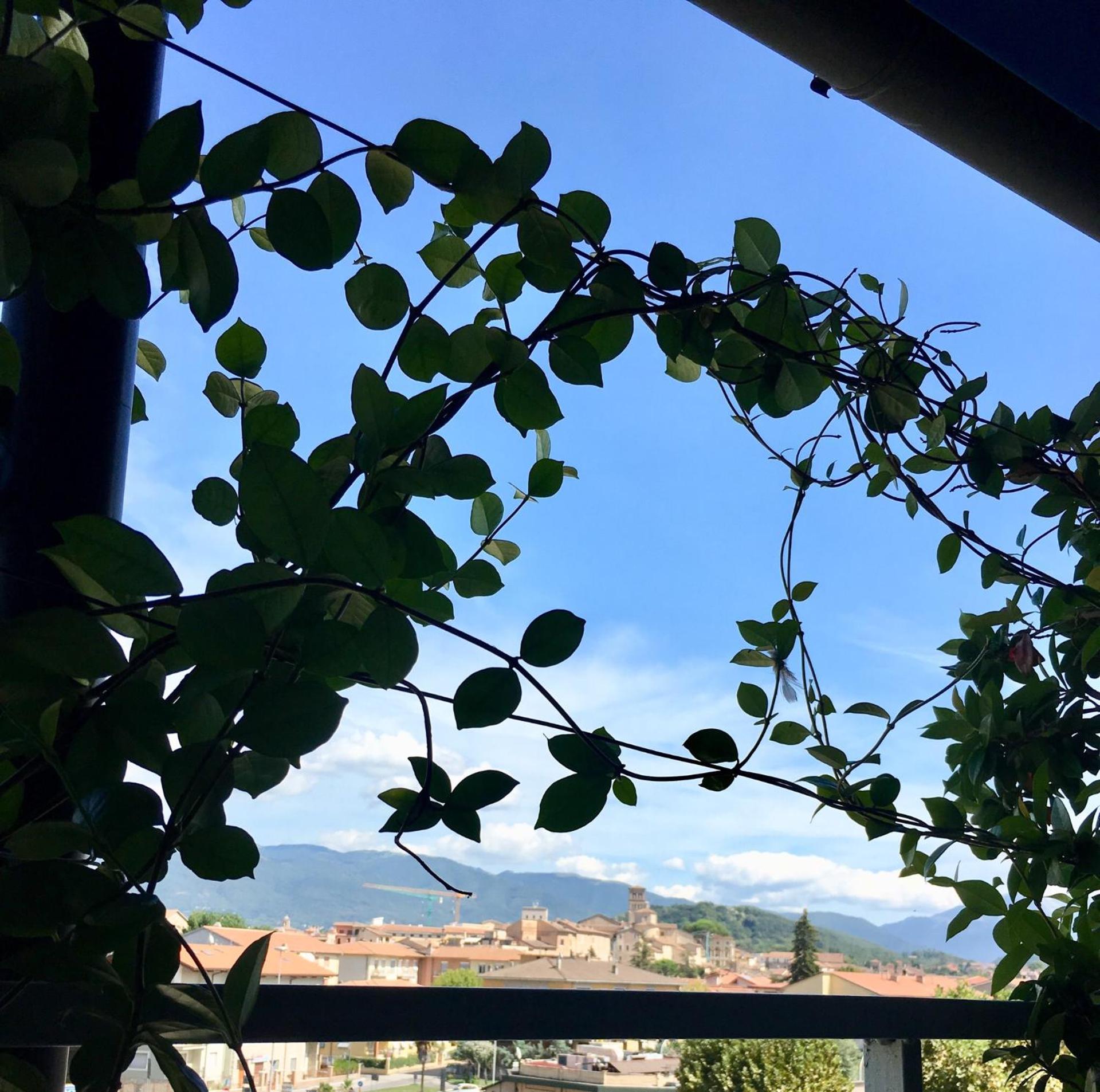 Hotel Serena - Photo 12