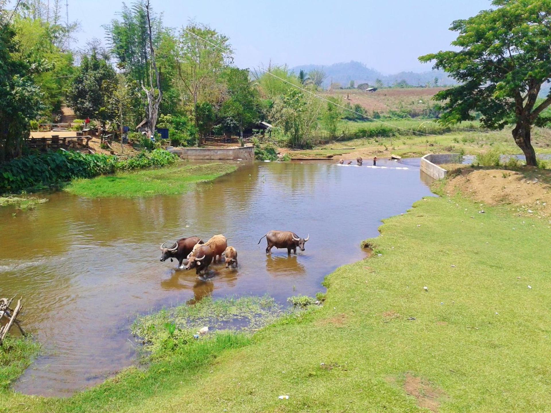 Huan Chiang Dao Resort - Photo 30