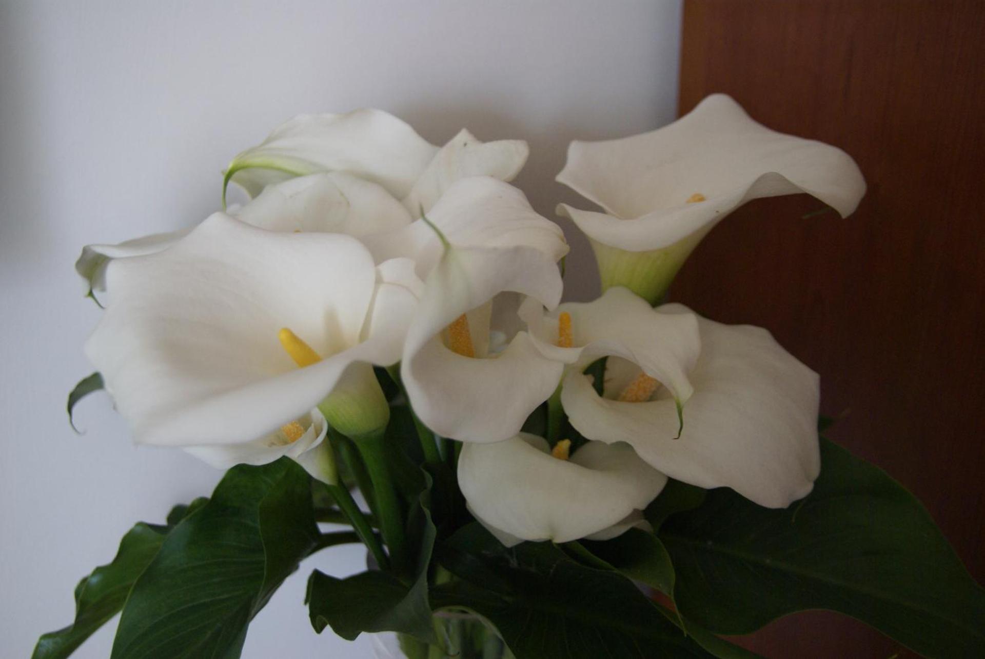 Il Grillo Di Firenze B&B - Photo 45