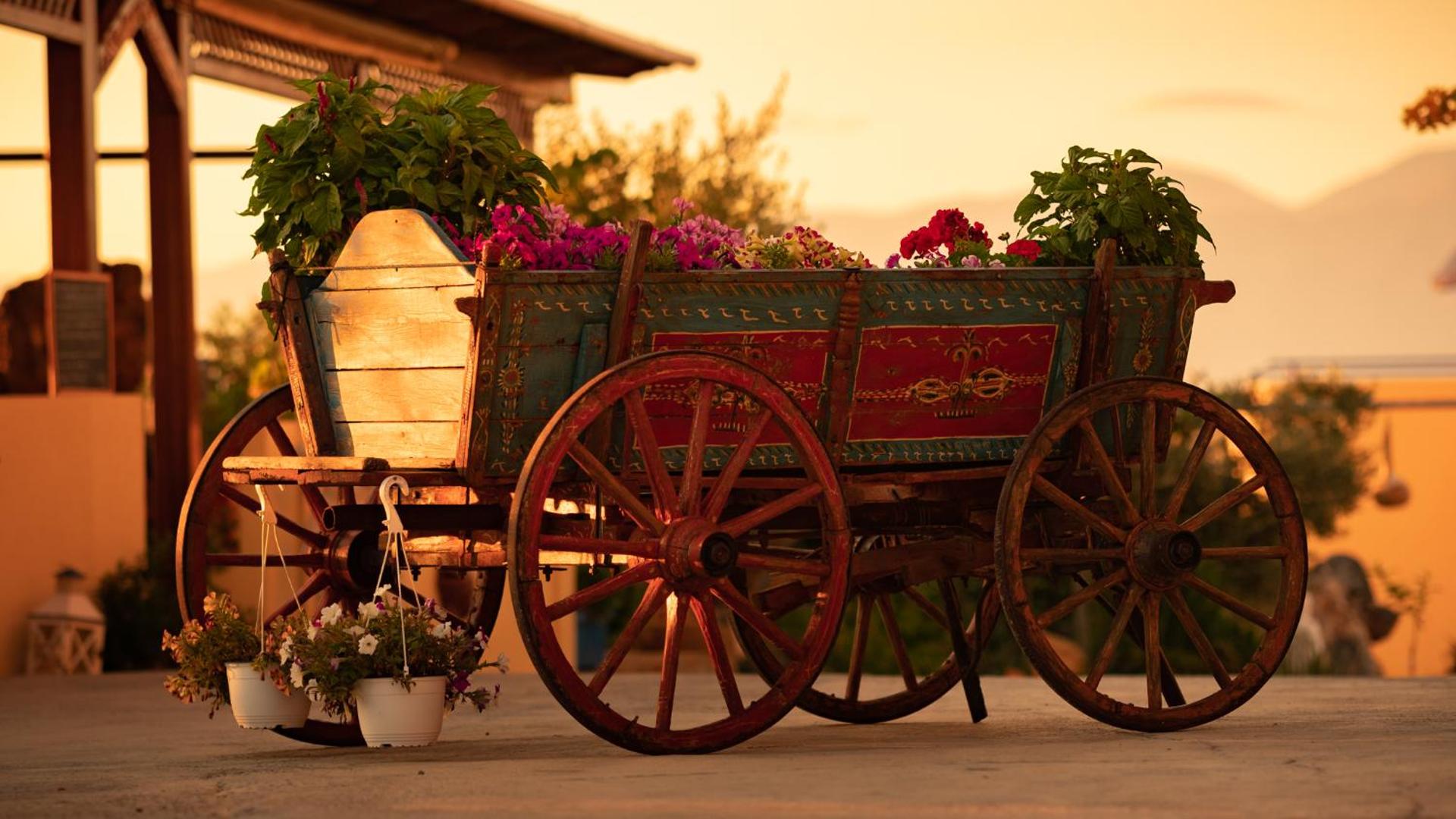 Elounda Heights (Adults Only) - Photo 98