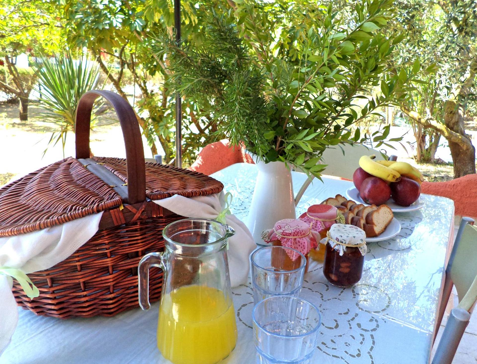 Dendrolivano - Photo 32