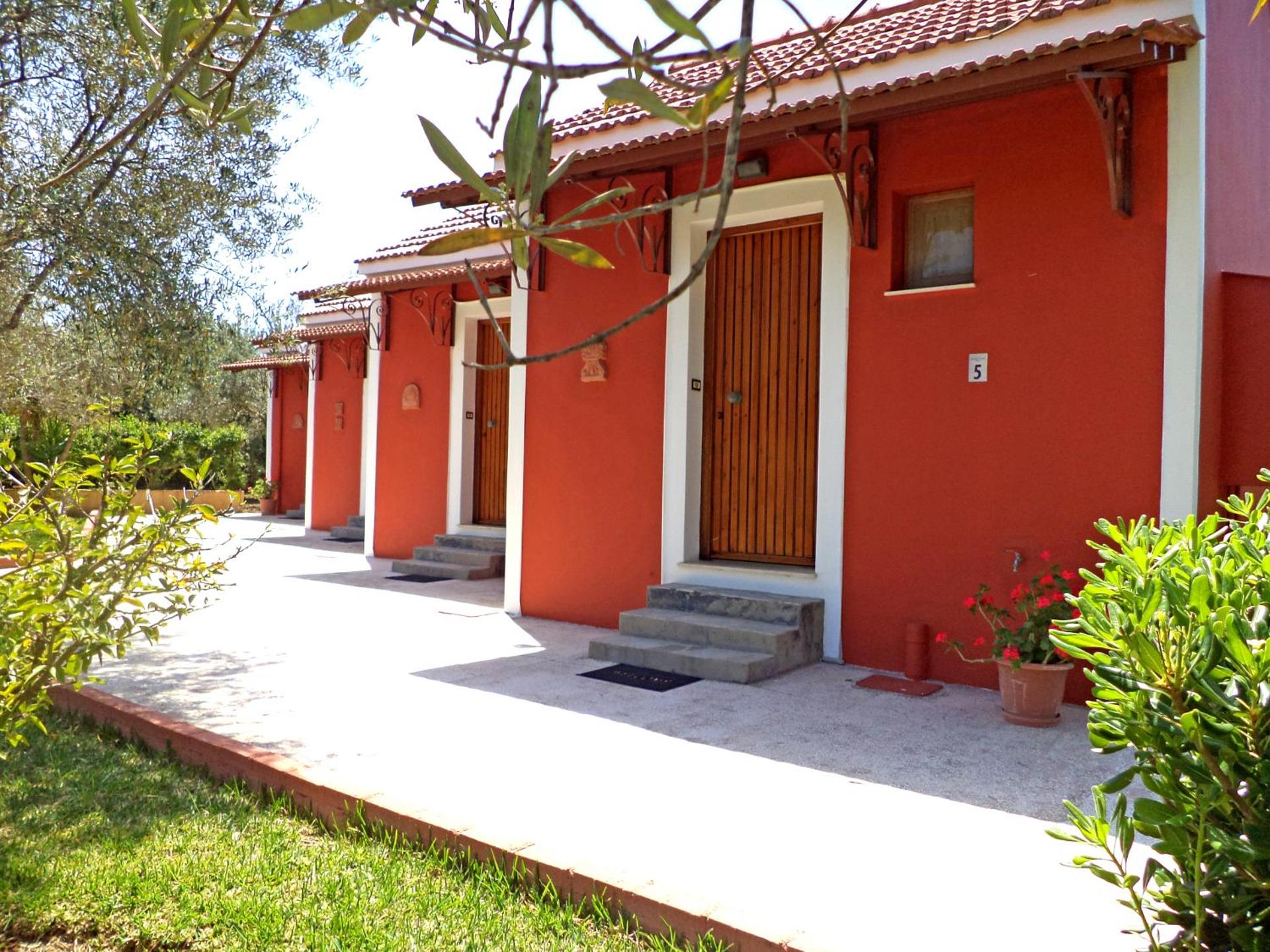 Dendrolivano - Photo 62