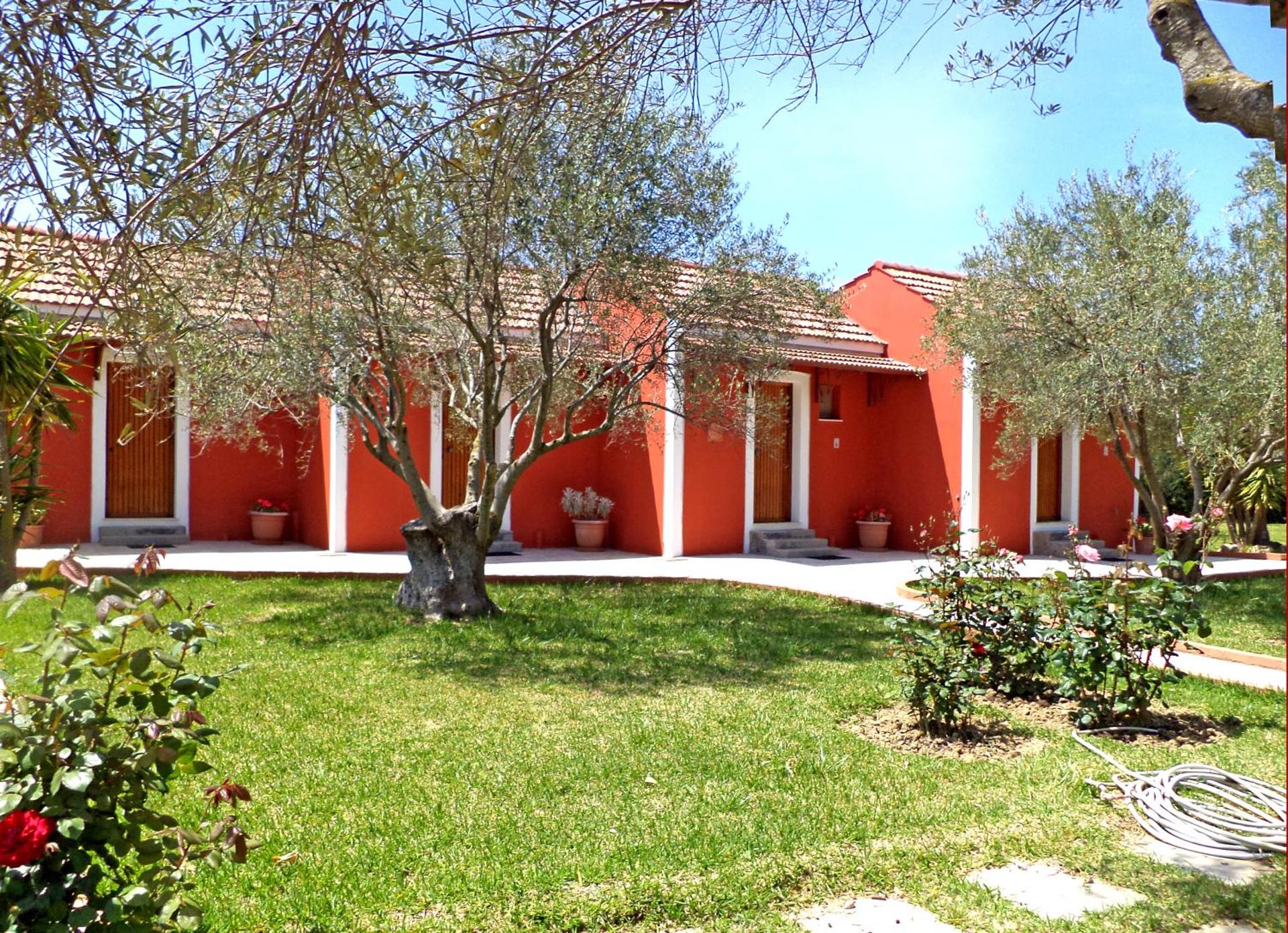 Dendrolivano - Photo 19