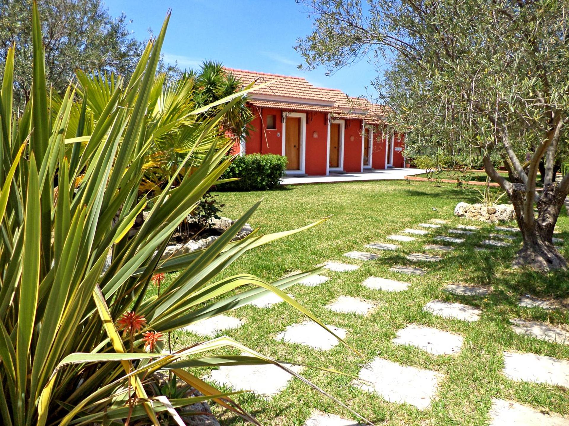 Dendrolivano - Photo 25