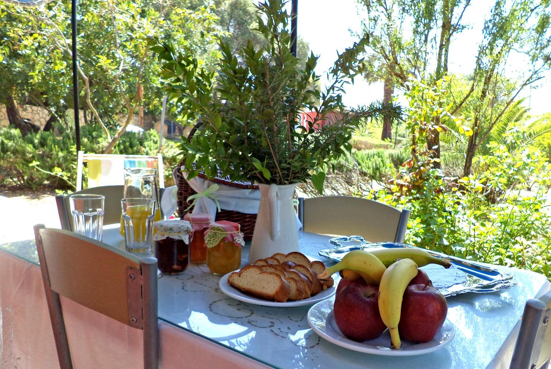 Dendrolivano - Photo 27