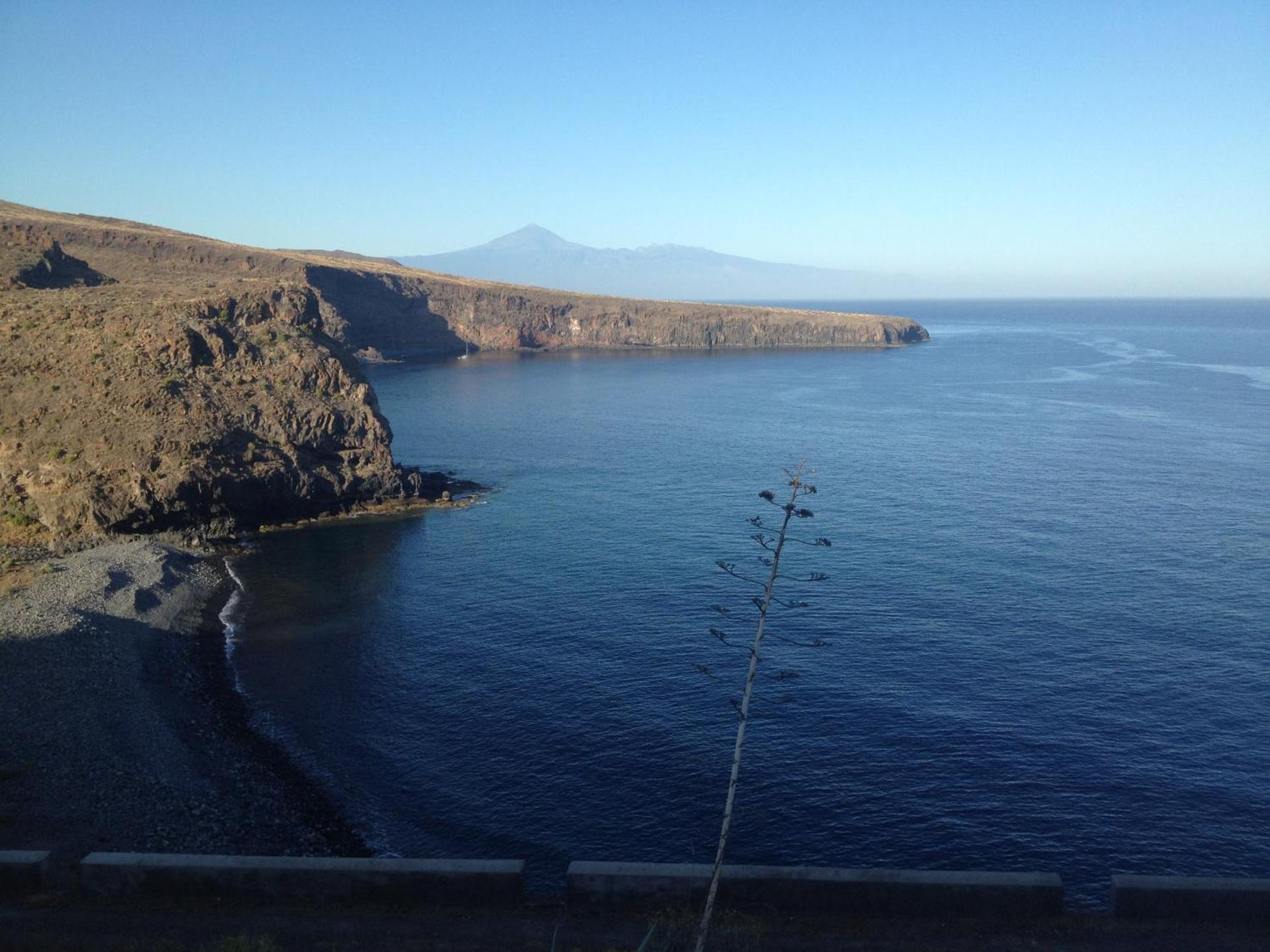 Apartamentos Martell - Photo 5