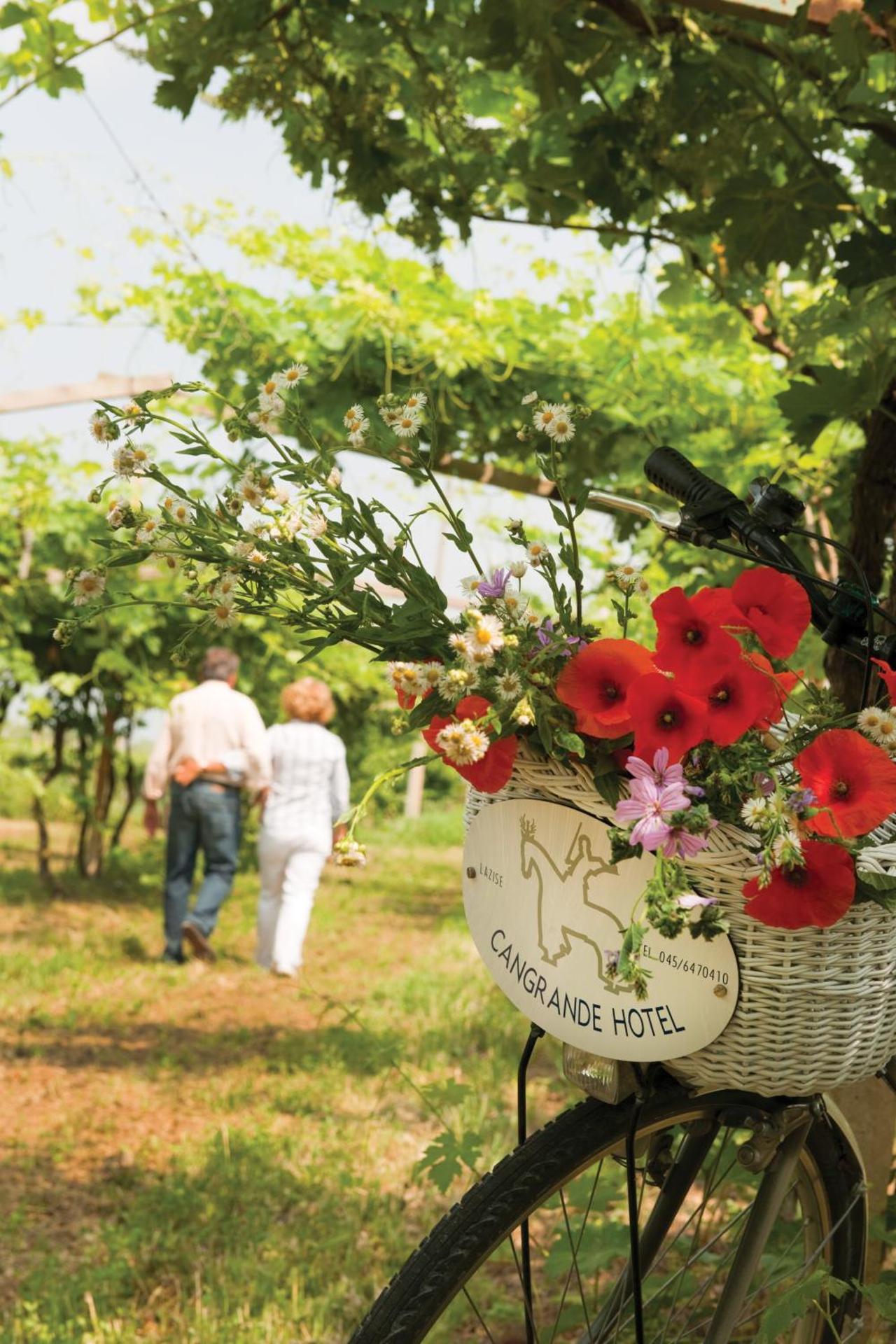 Cangrande Hotel - Photo 10