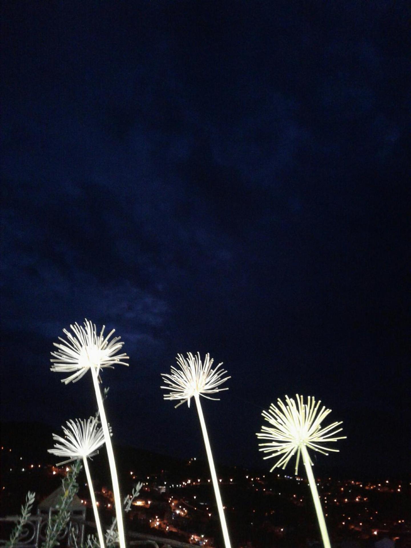 Dar Lbakal - Photo 78