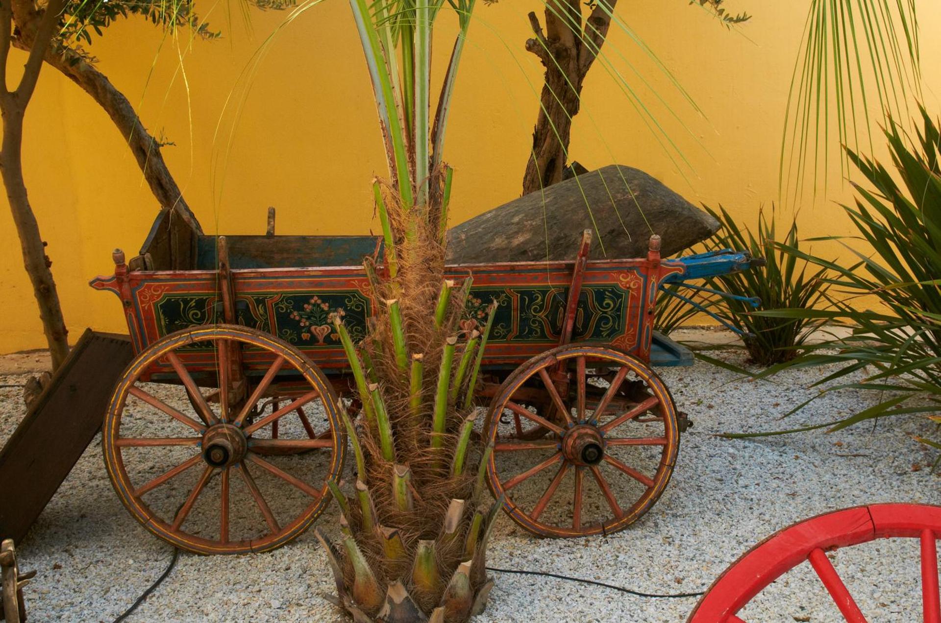 Iapetos Village - Photo 165