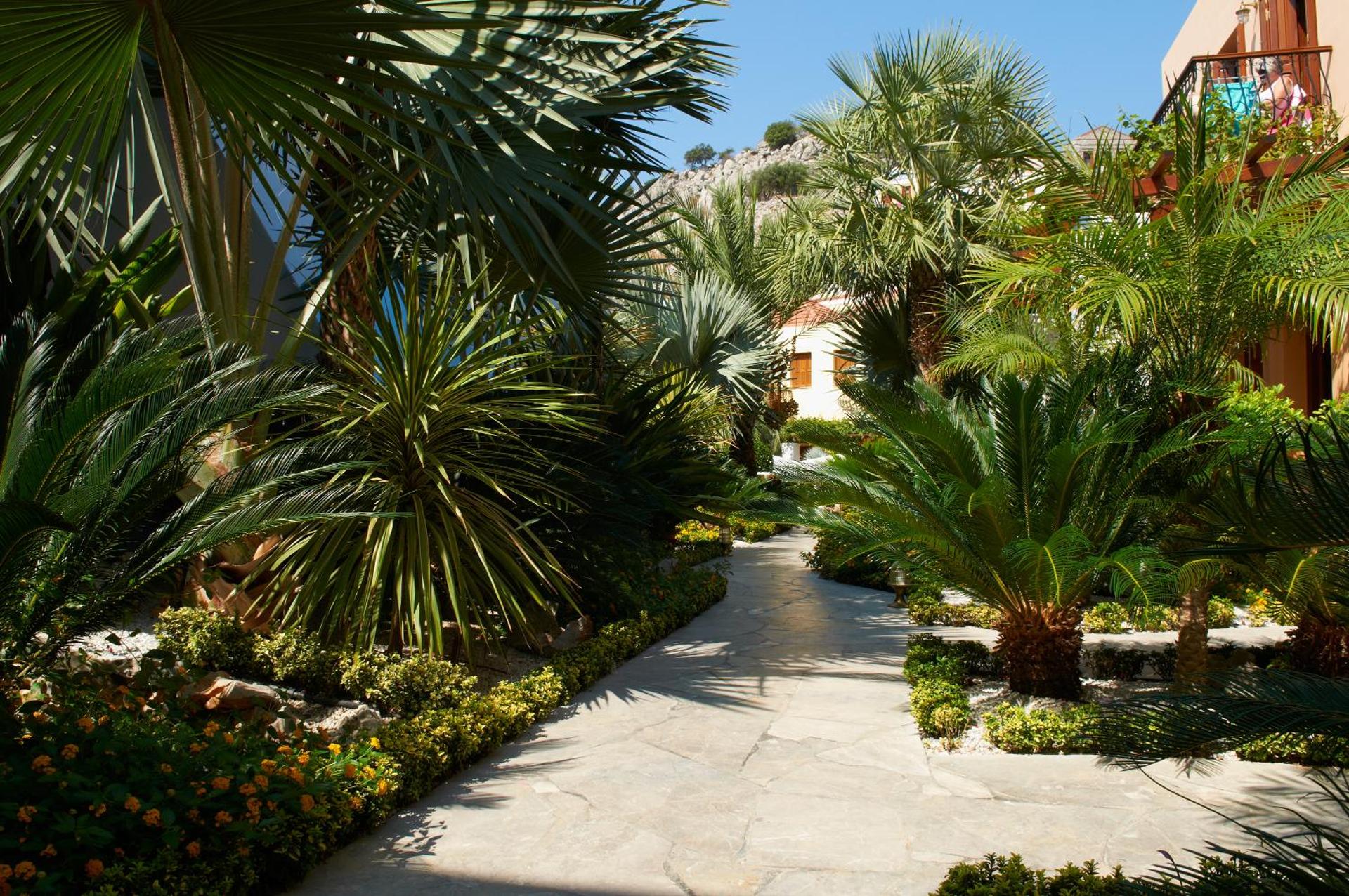 Iapetos Village - Photo 166
