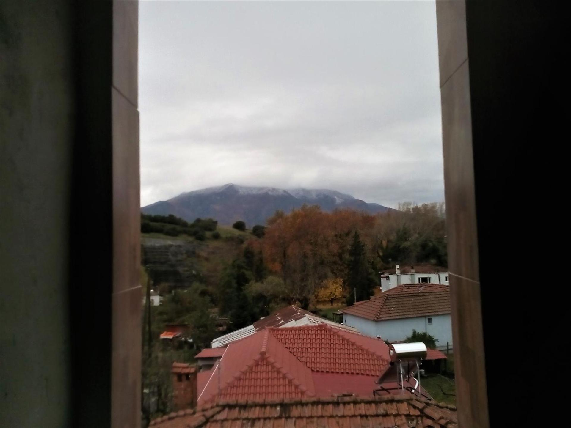 Kostis Hause - Photo 5