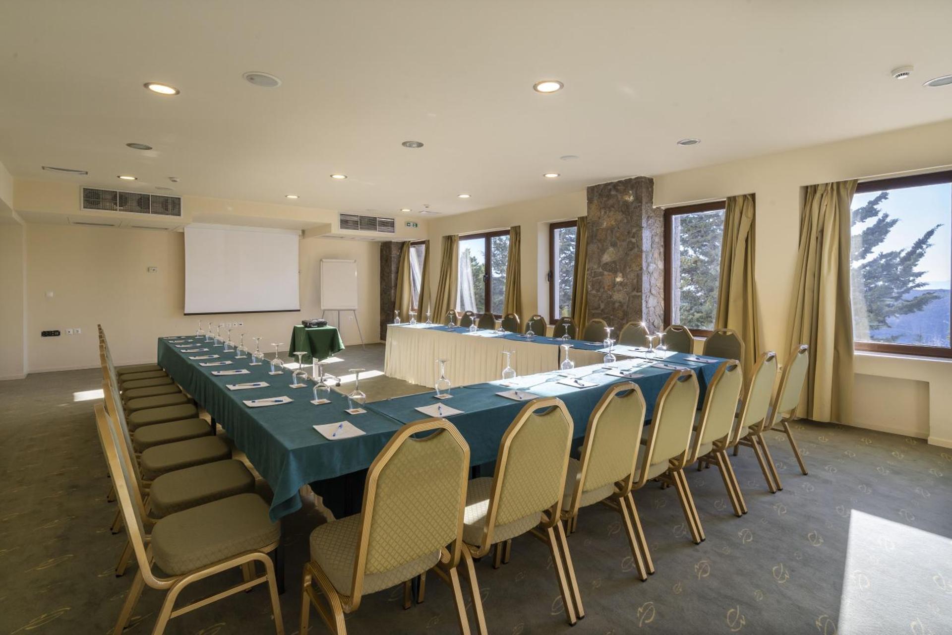 Anemolia Mountain Resort - Photo 223