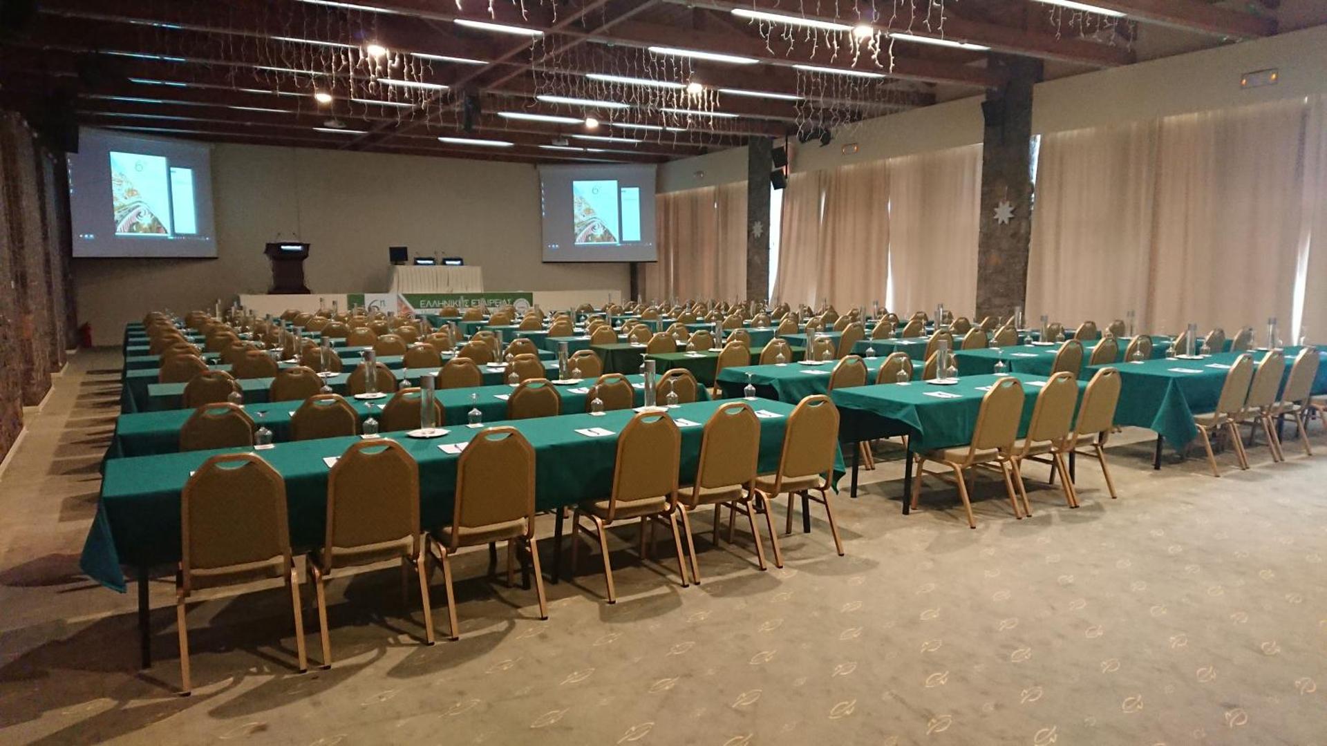 Anemolia Mountain Resort - Photo 224