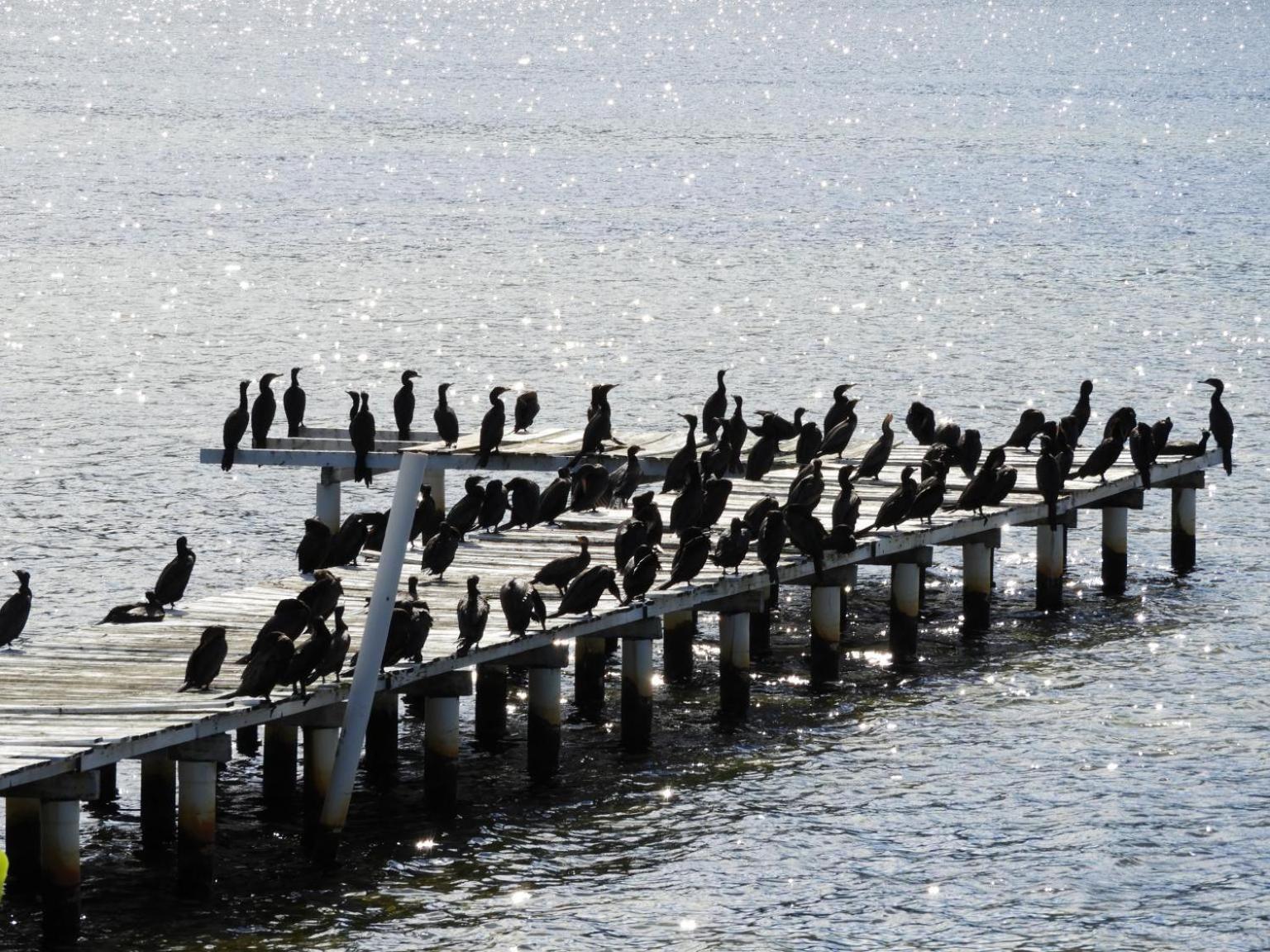 Pousada Dunasol Floripa - Photo 119