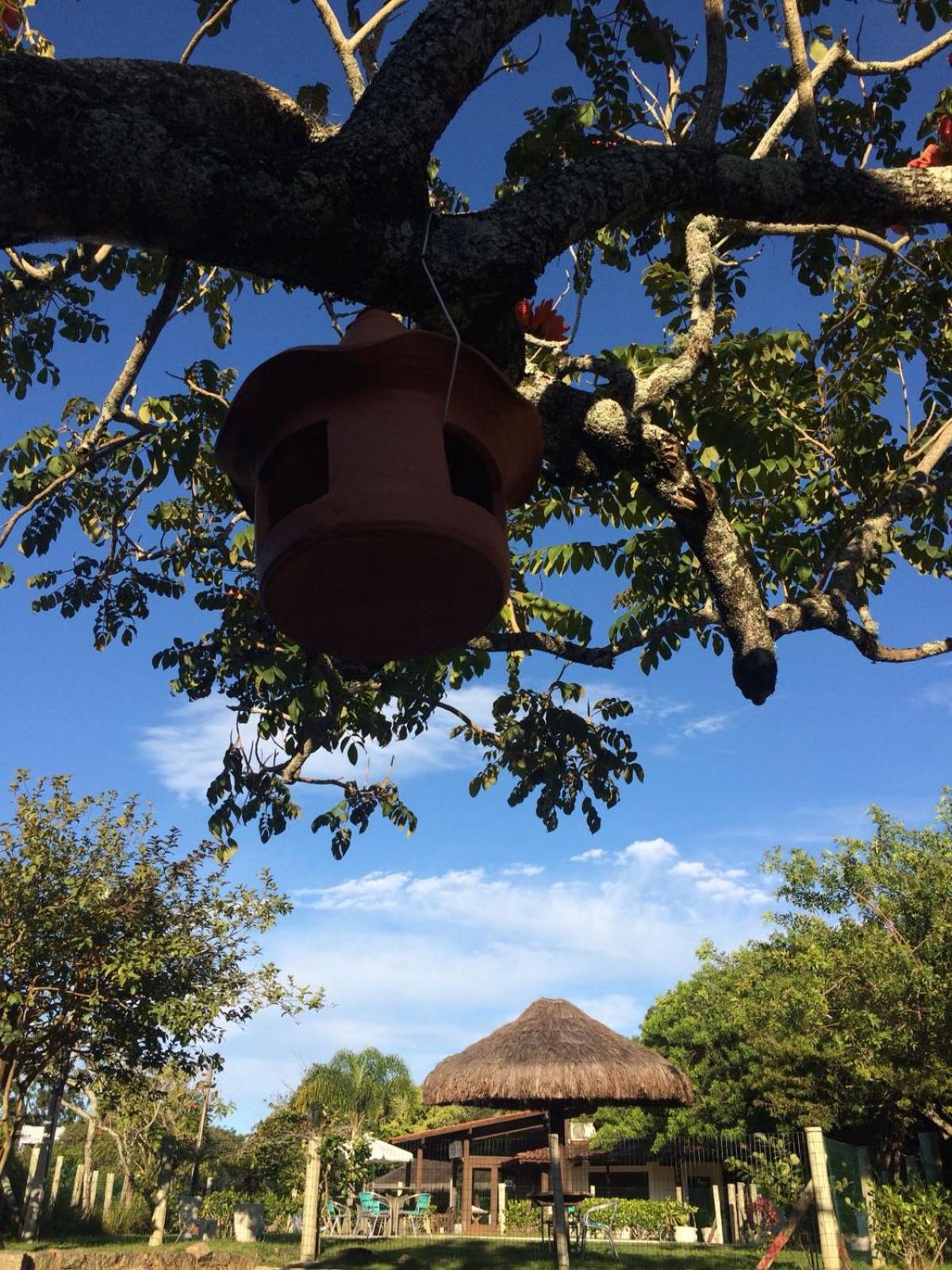 Pousada Dunasol Floripa - Photo 110