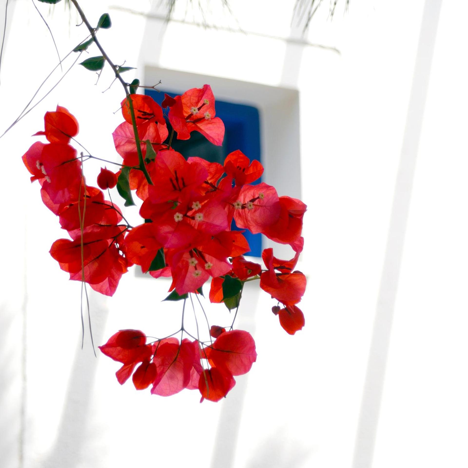 Hotel Mathios - Photo 145