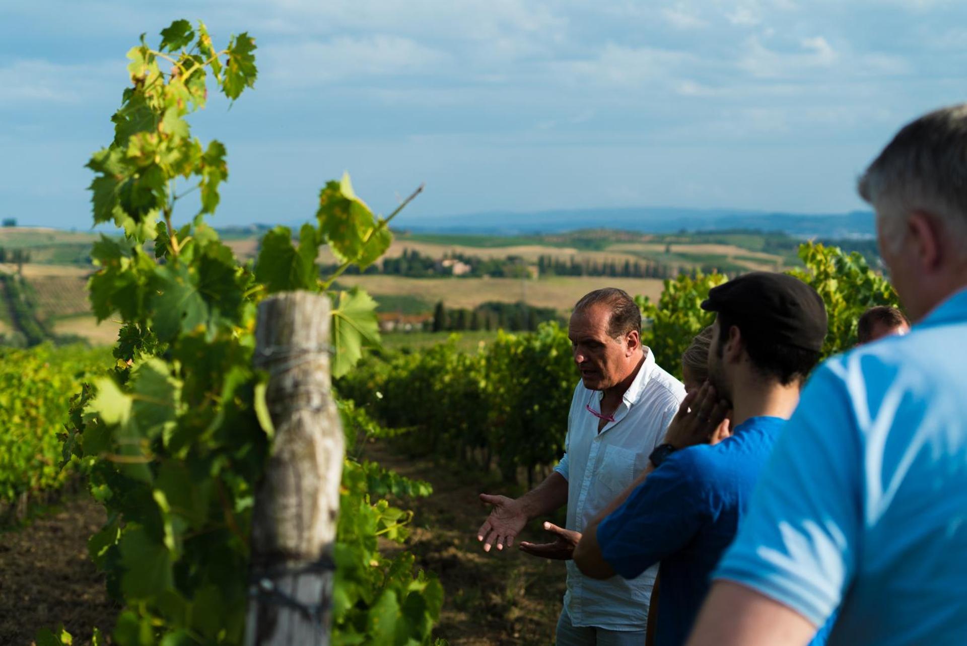 Agriturismo Streda Wine & Country Holiday - Photo 127
