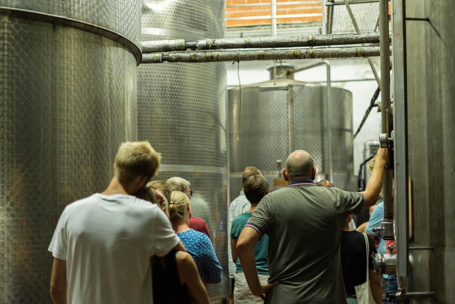 Agriturismo Streda Wine & Country Holiday - Photo 125