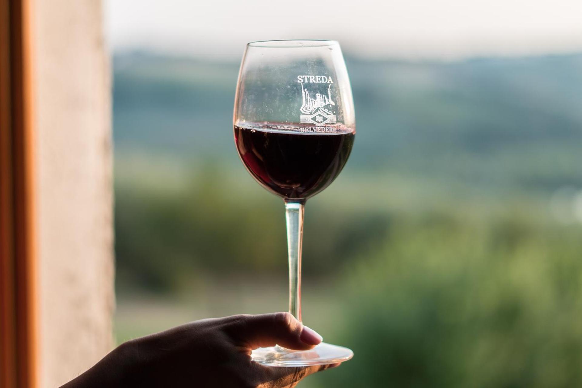 Agriturismo Streda Wine & Country Holiday - Photo 114