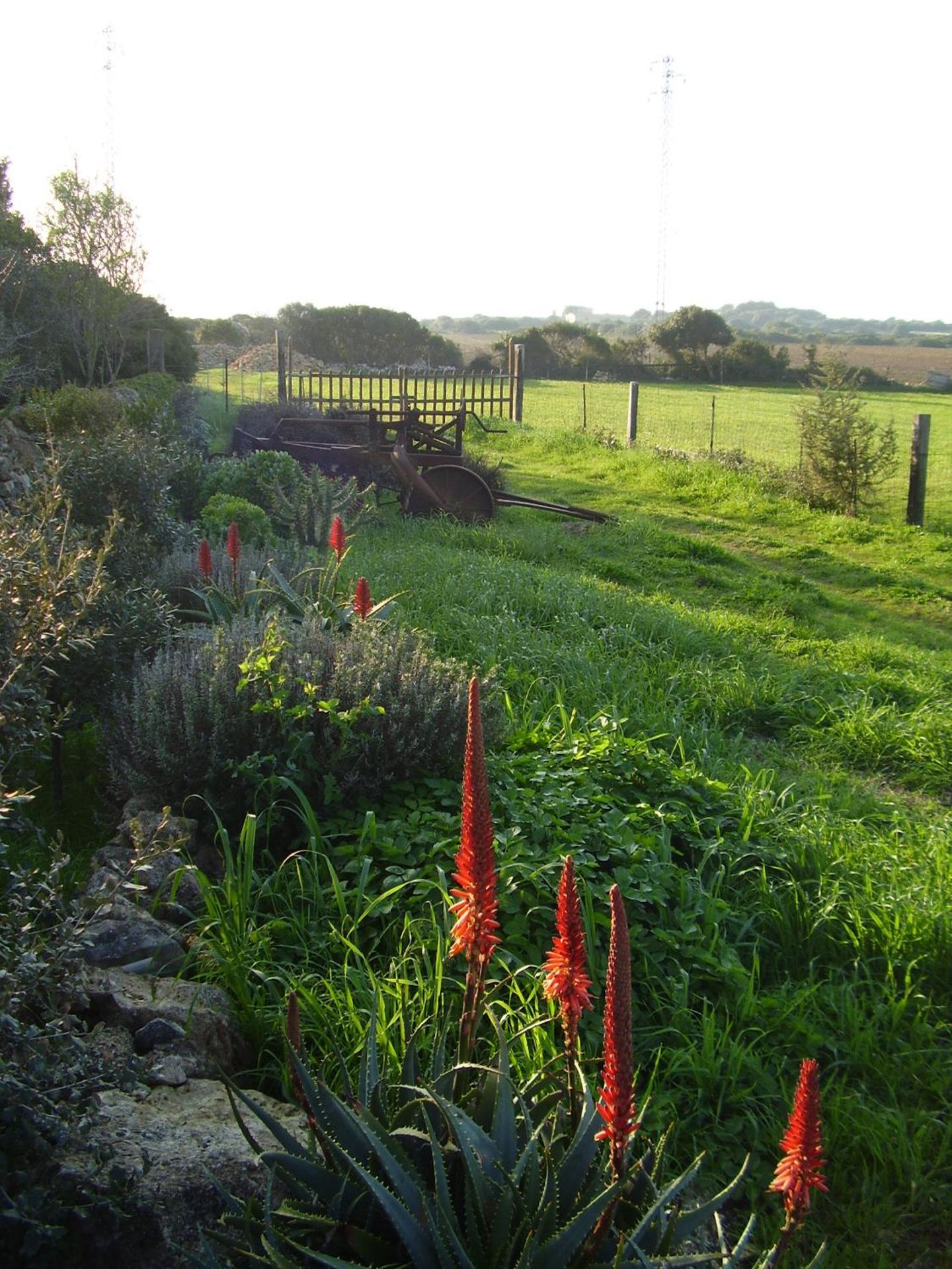 Agriturismo Cuile de Molino - Photo 75