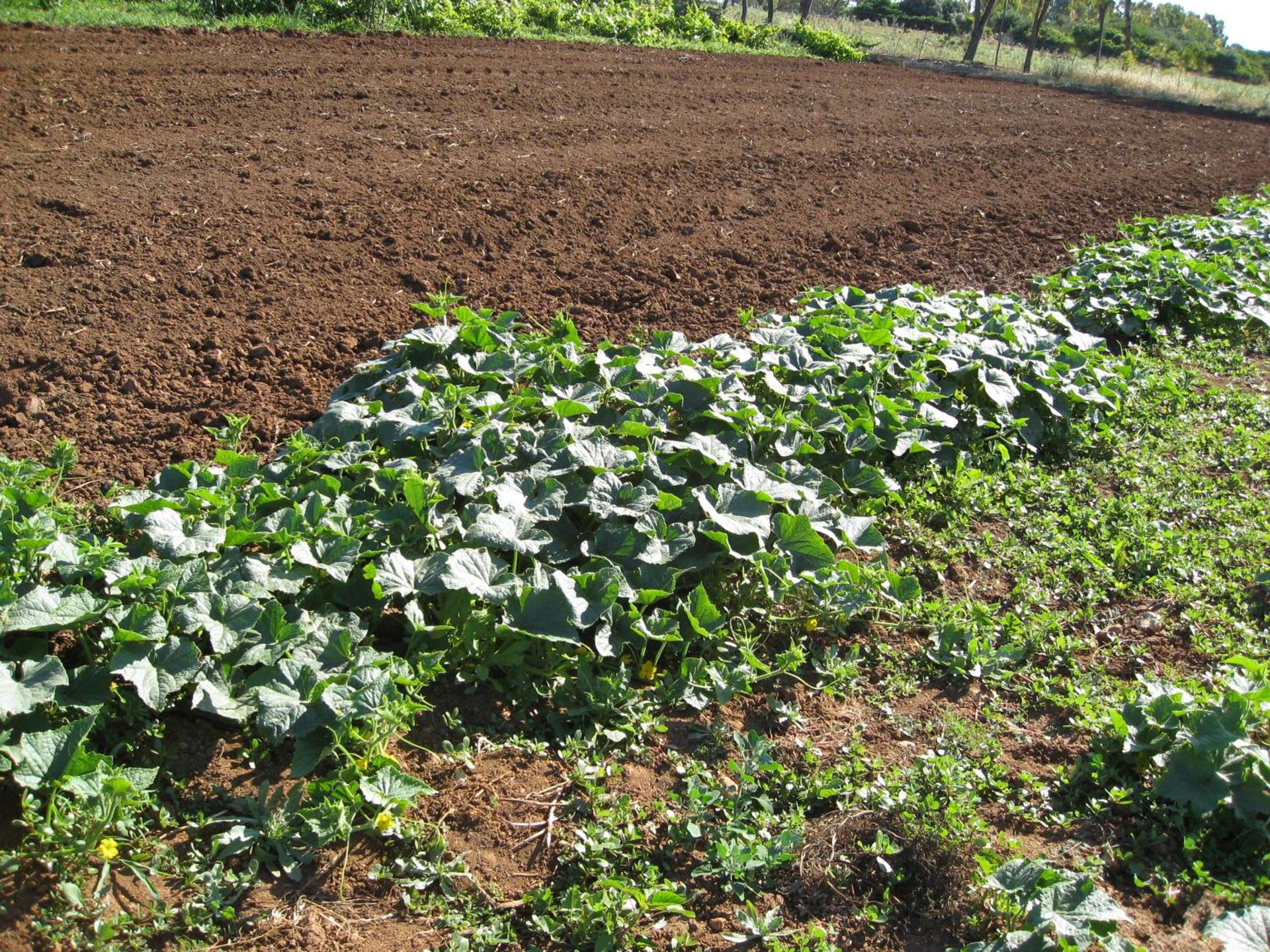 Agriturismo Cuile de Molino - Photo 69