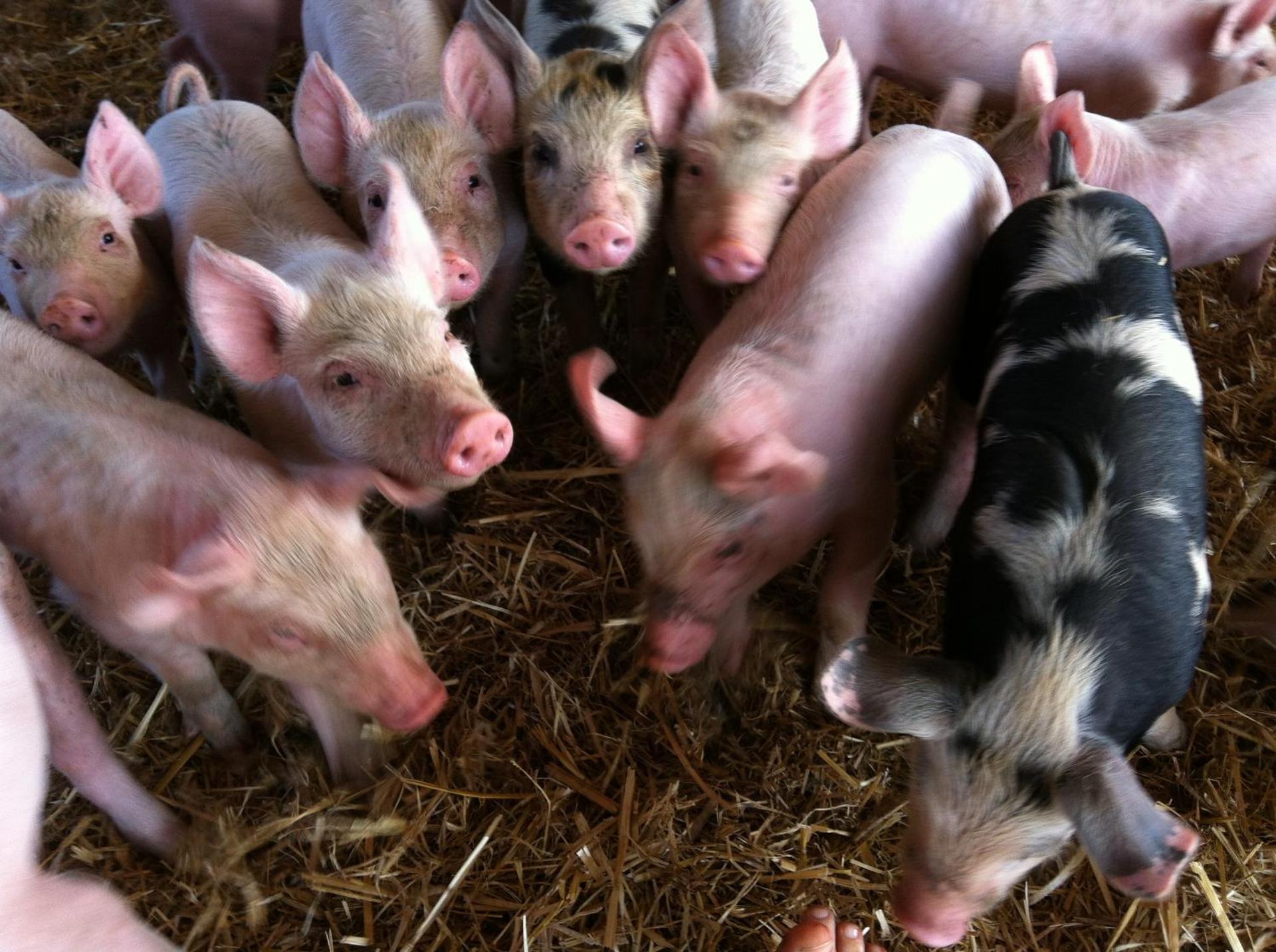 Agriturismo Cuile de Molino - Photo 49