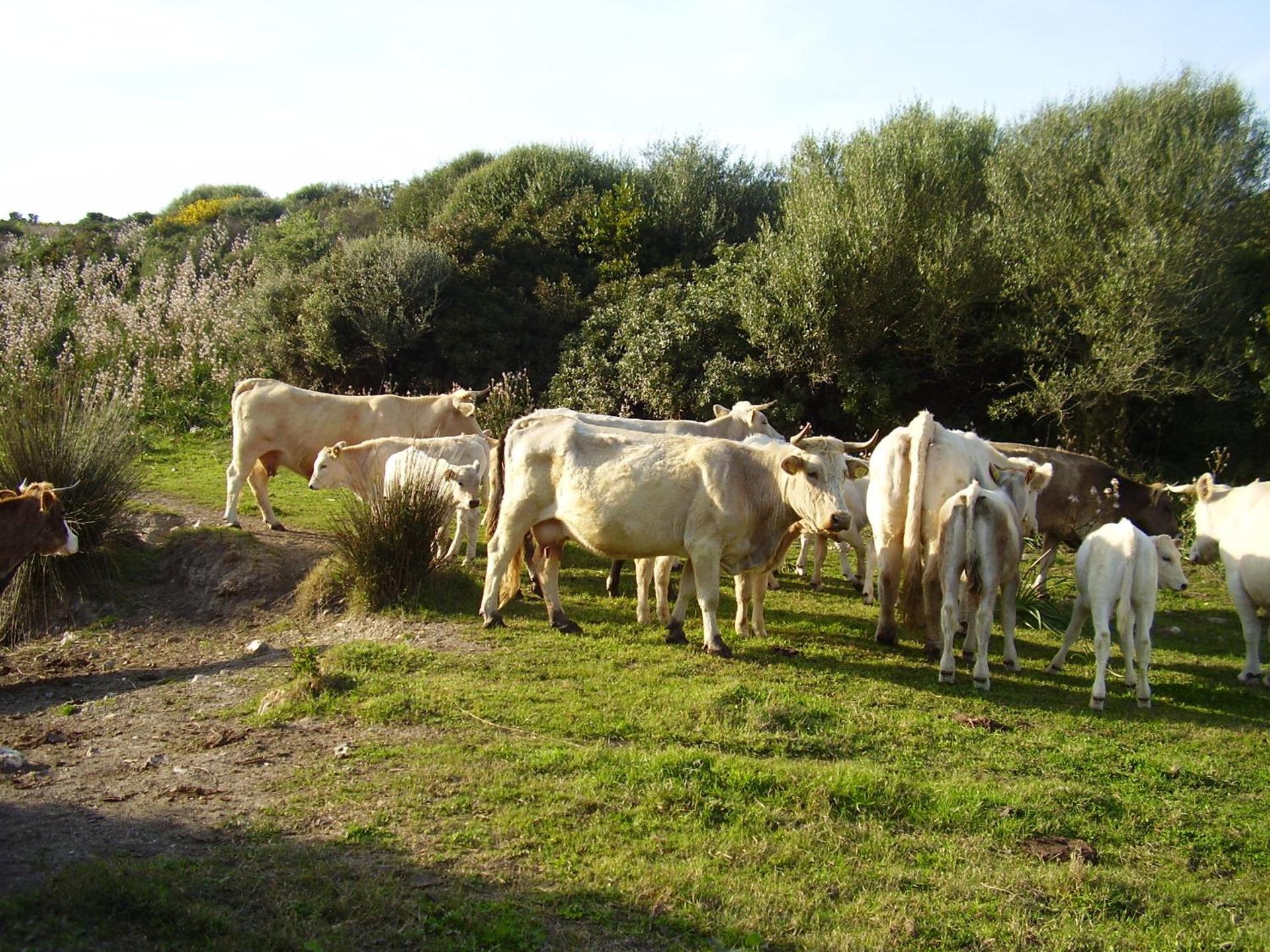 Agriturismo Cuile de Molino - Photo 53