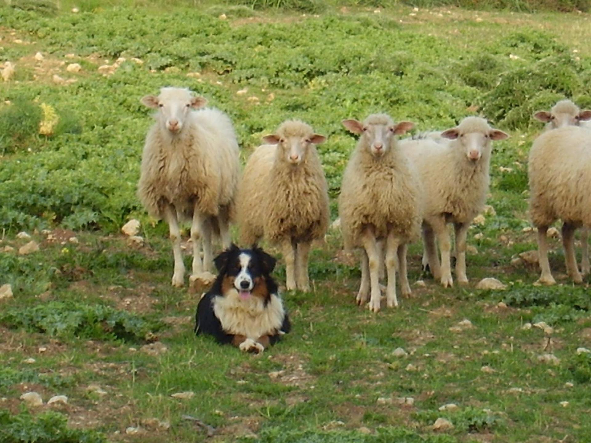 Agriturismo Cuile de Molino - Photo 54
