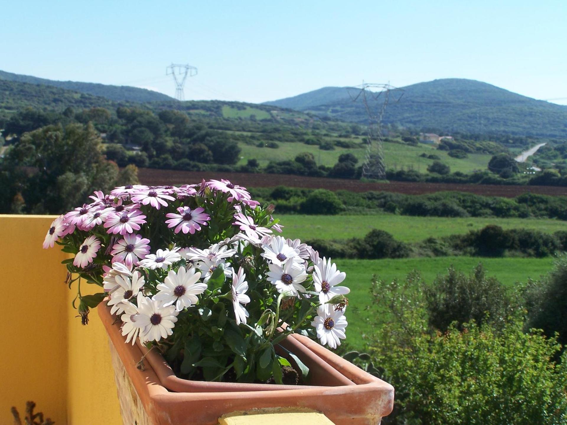 Agriturismo Cuile de Molino - Photo 33