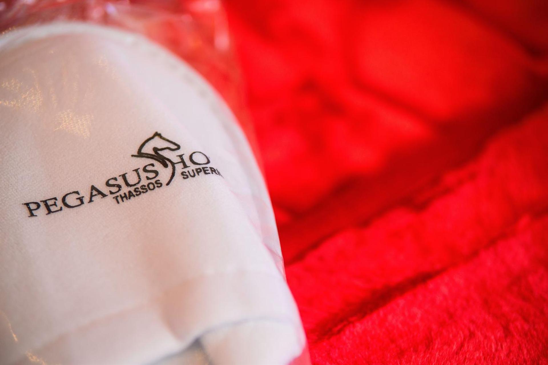 Hotel Pegasus-Adult Friendly - Photo 5