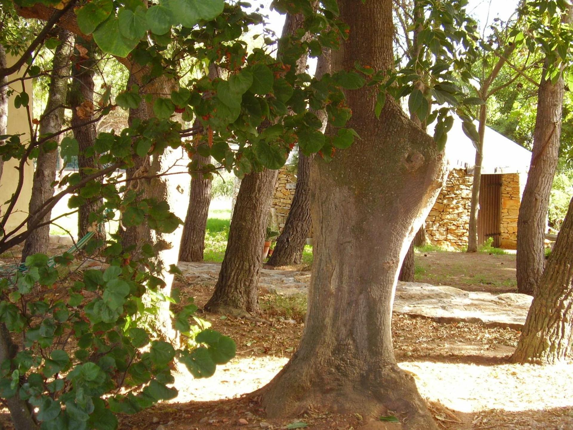 Agriturismo Cuile de Molino - Photo 73