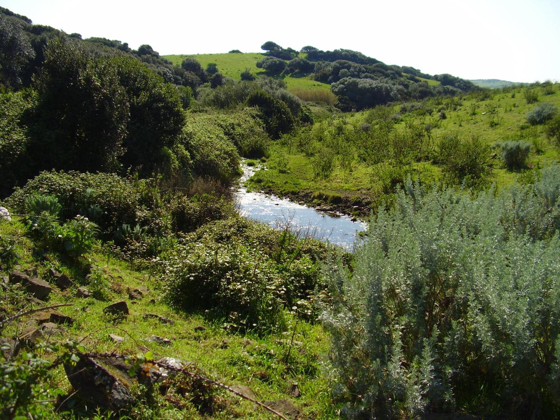 Agriturismo Cuile de Molino - Photo 77