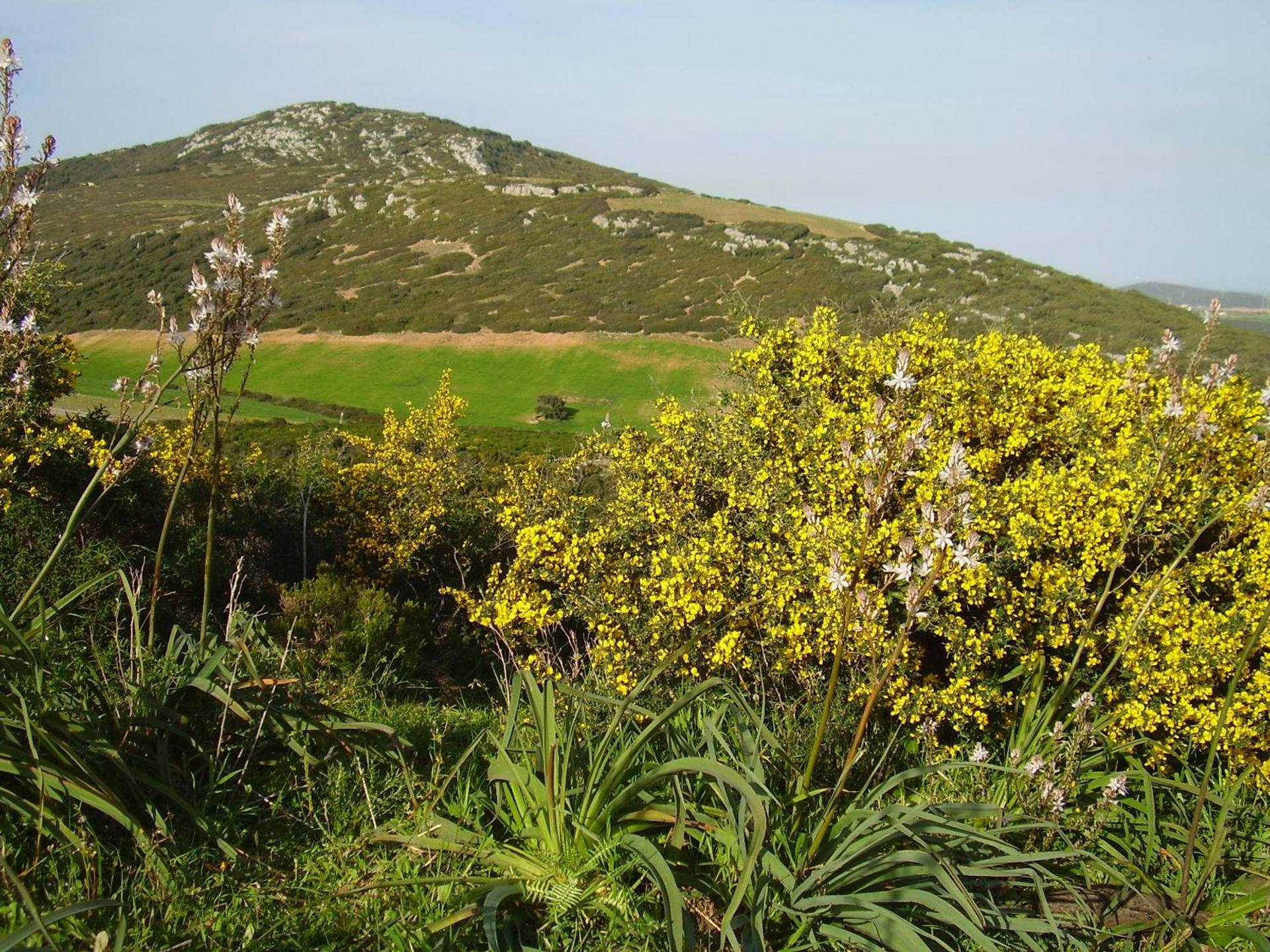 Agriturismo Cuile de Molino - Photo 76