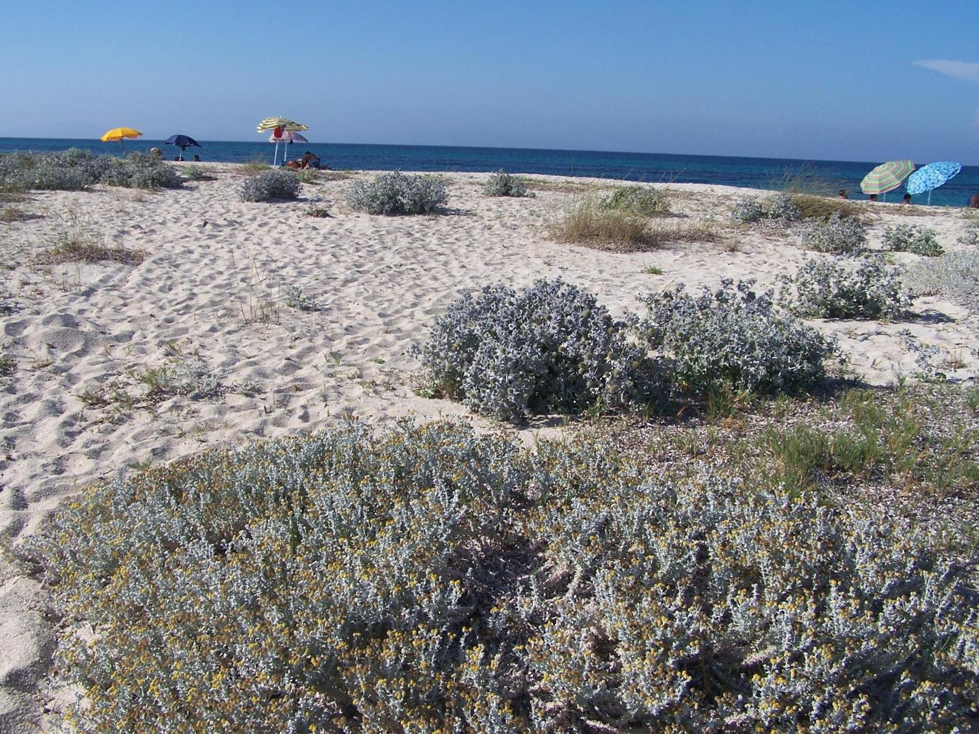 Agriturismo Cuile de Molino - Photo 74