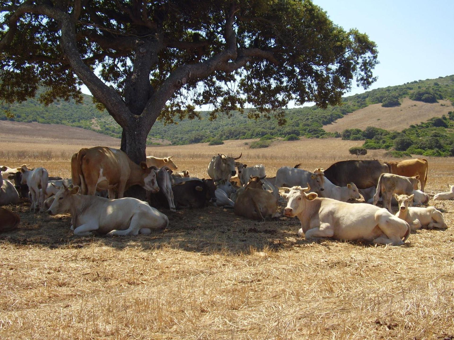 Agriturismo Cuile de Molino - Photo 56