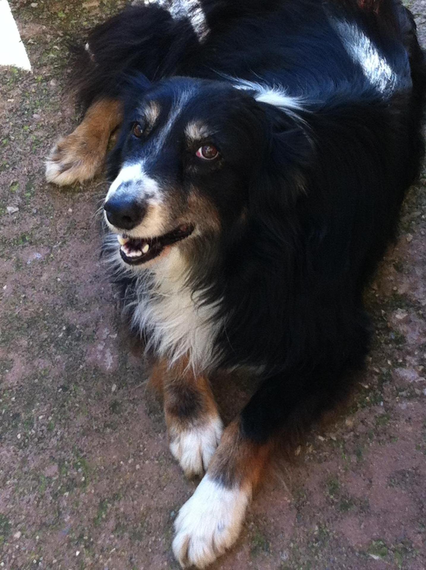 Agriturismo Cuile de Molino - Photo 57