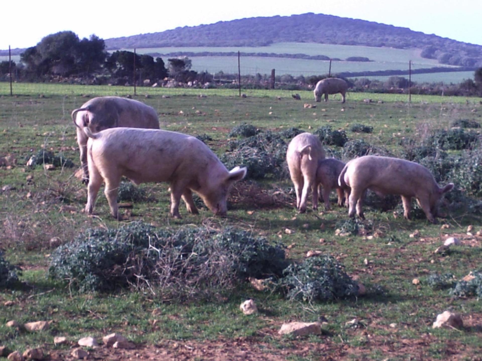 Agriturismo Cuile de Molino - Photo 58
