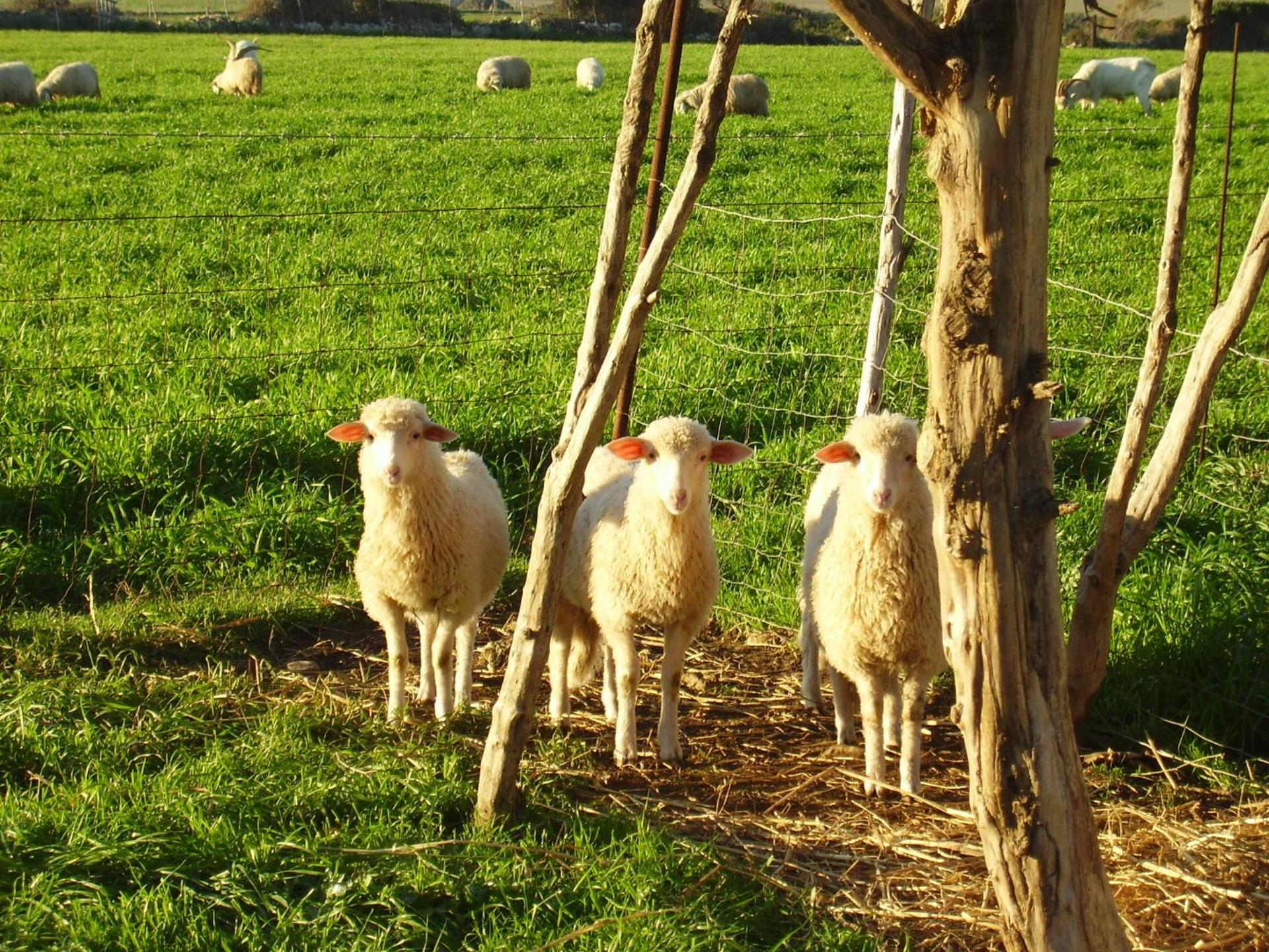 Agriturismo Cuile de Molino - Photo 63