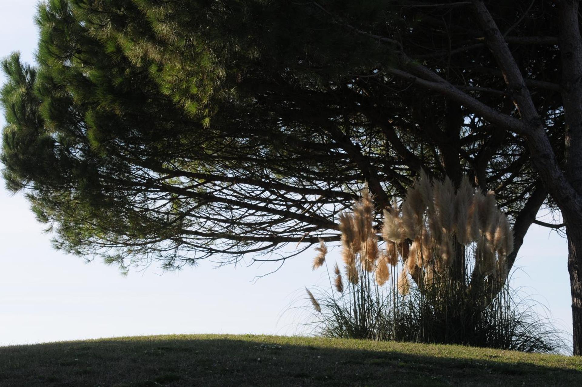 Cosmopolitan Golf & Beach Resort - Photo 10