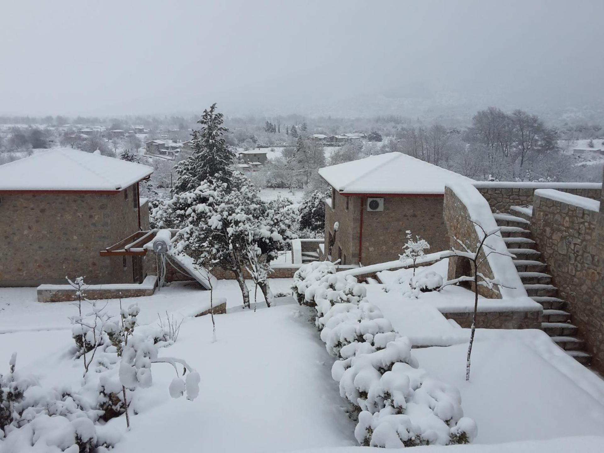 Lilea Chalet Parnassos - Photo 25